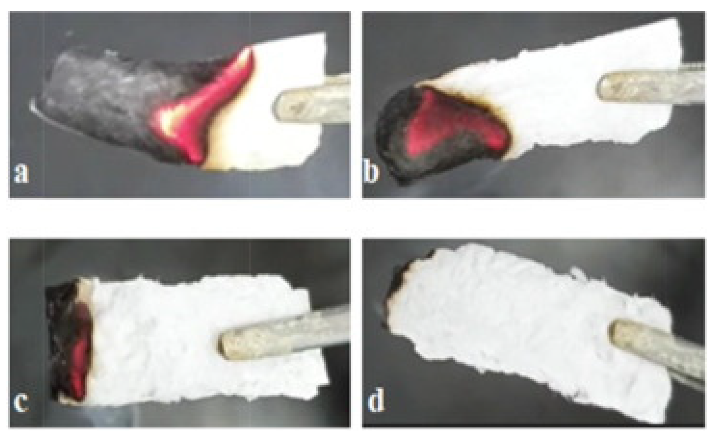 Preprints 90108 g006