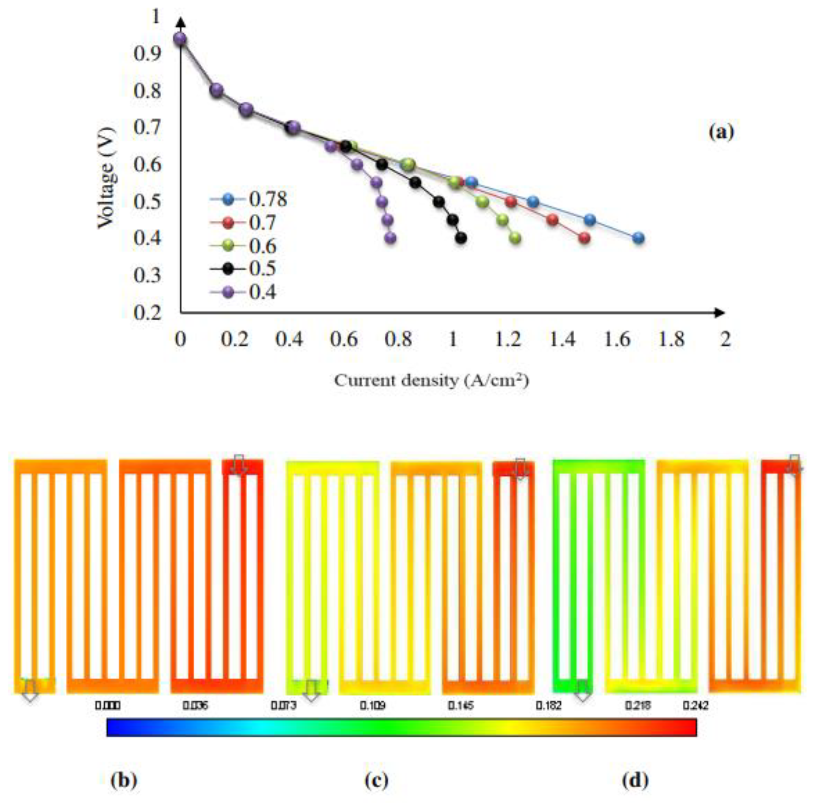 Preprints 106861 g011