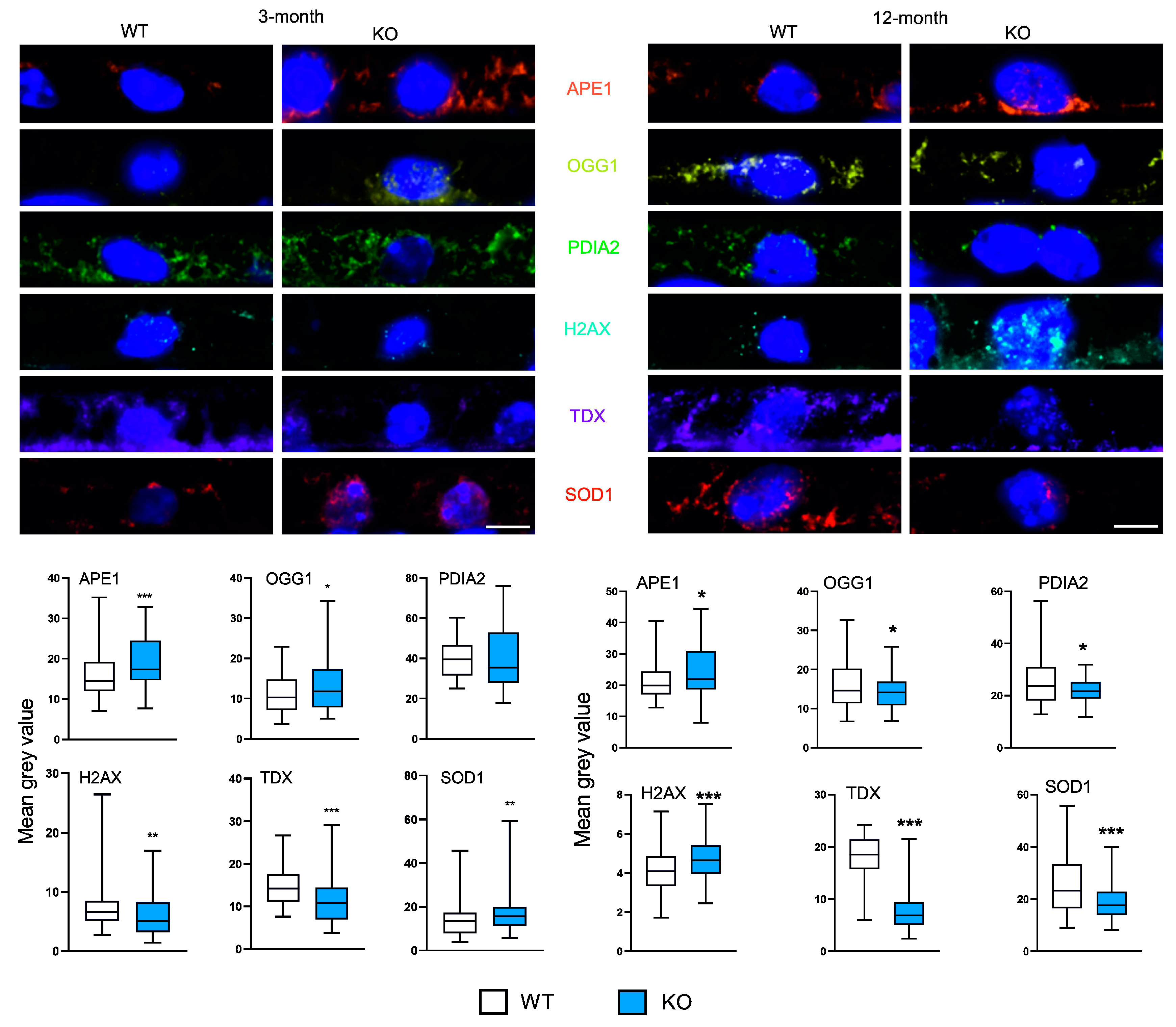 Preprints 79735 g001