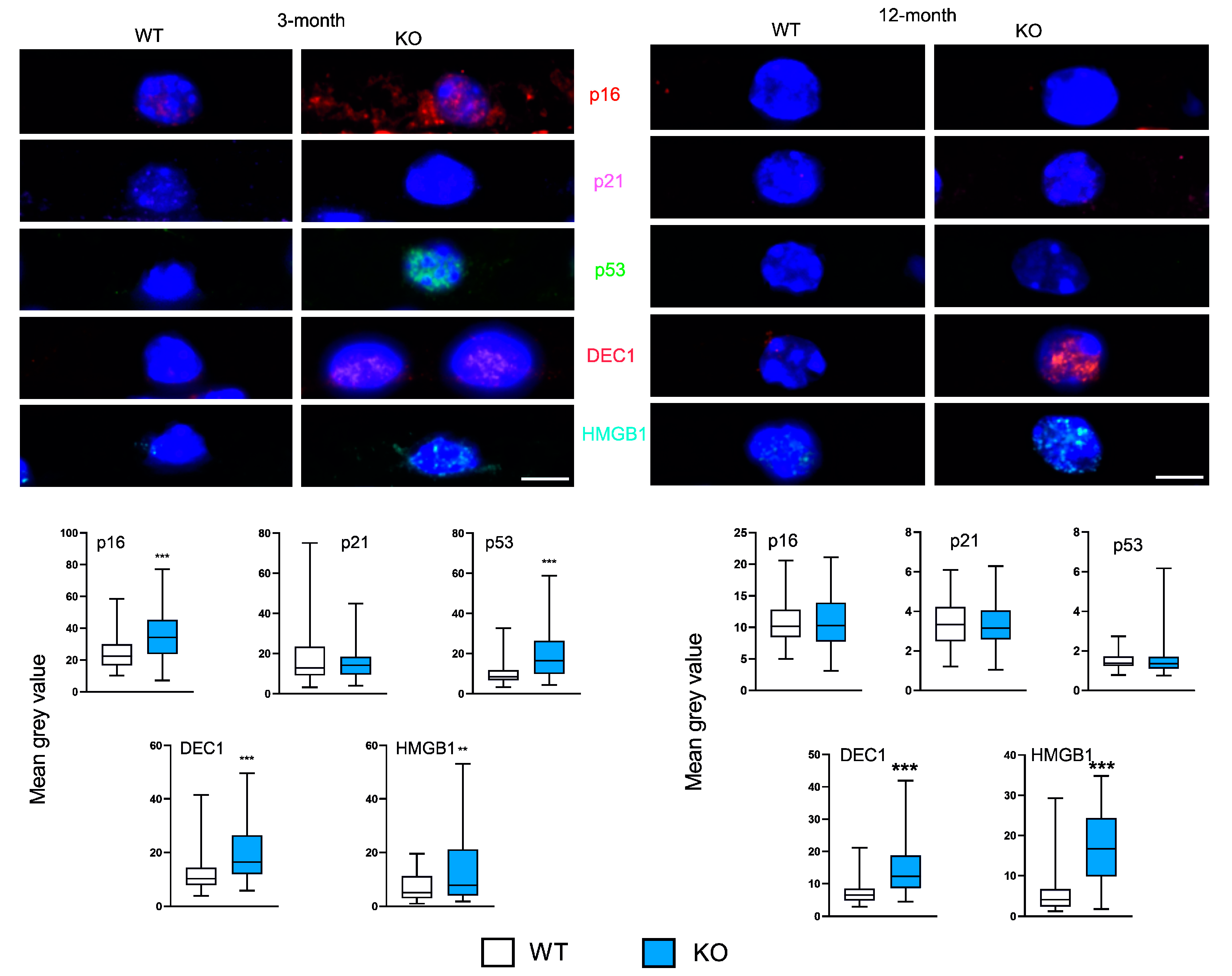 Preprints 79735 g002