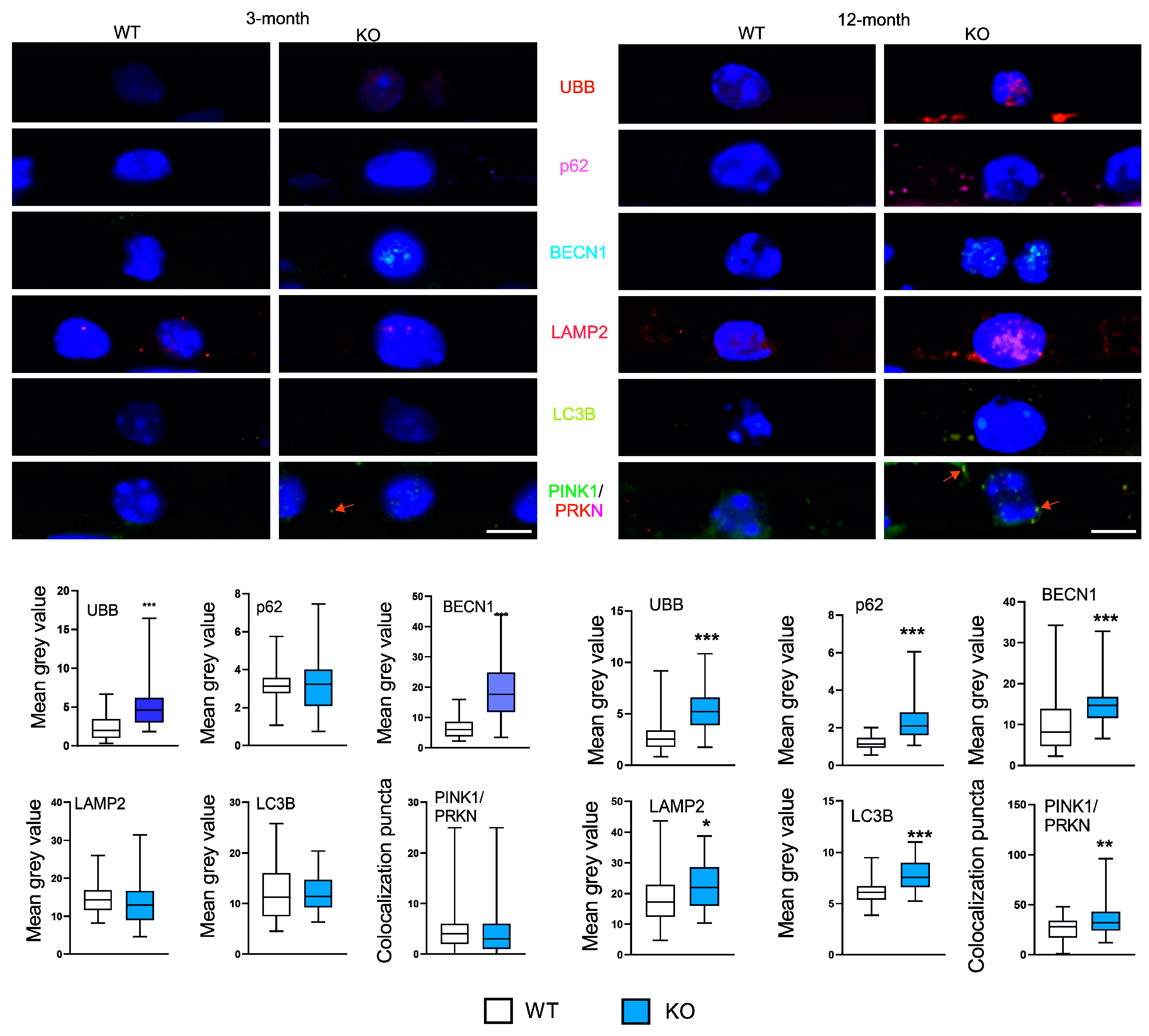 Preprints 79735 g003