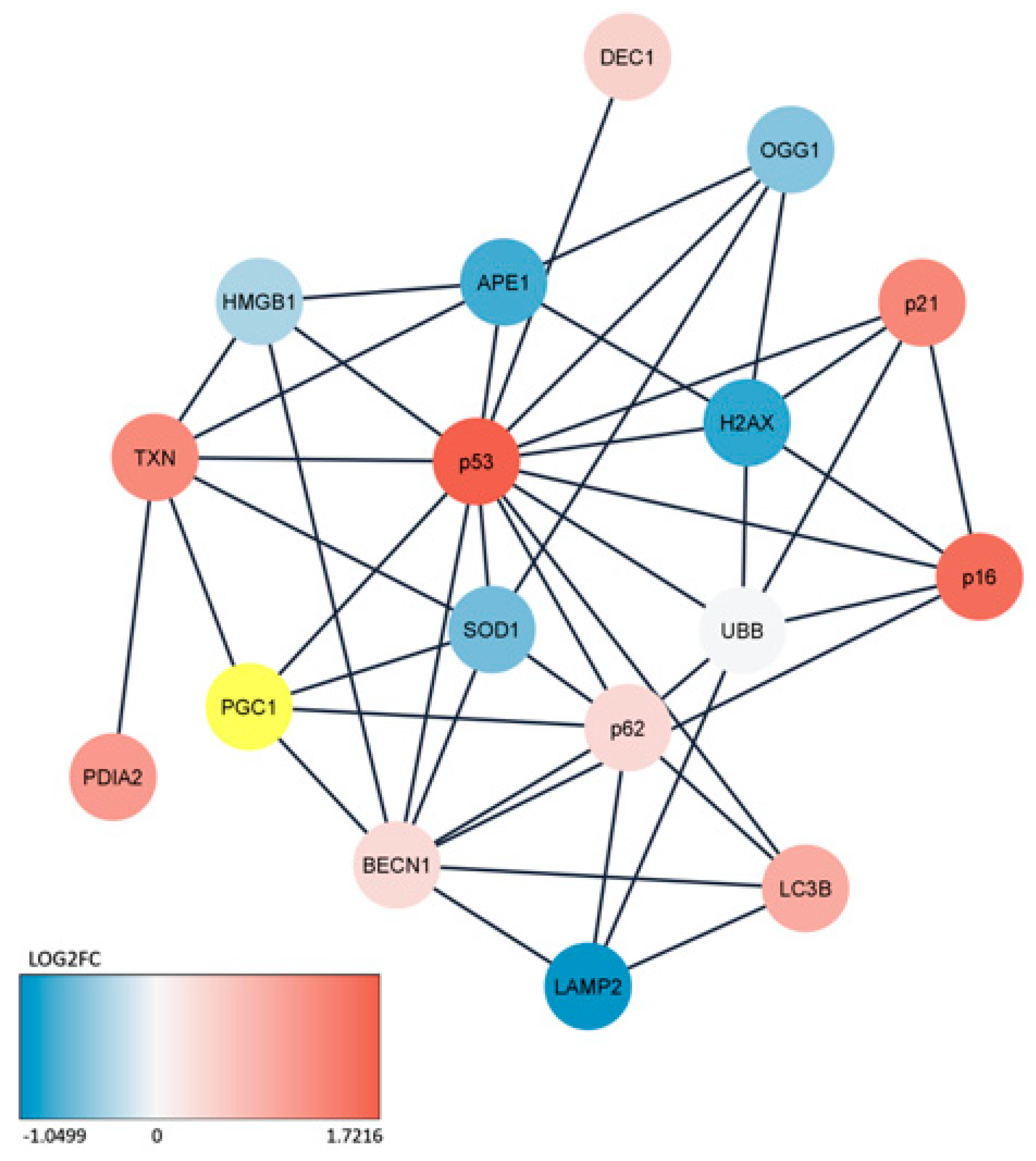 Preprints 79735 g006