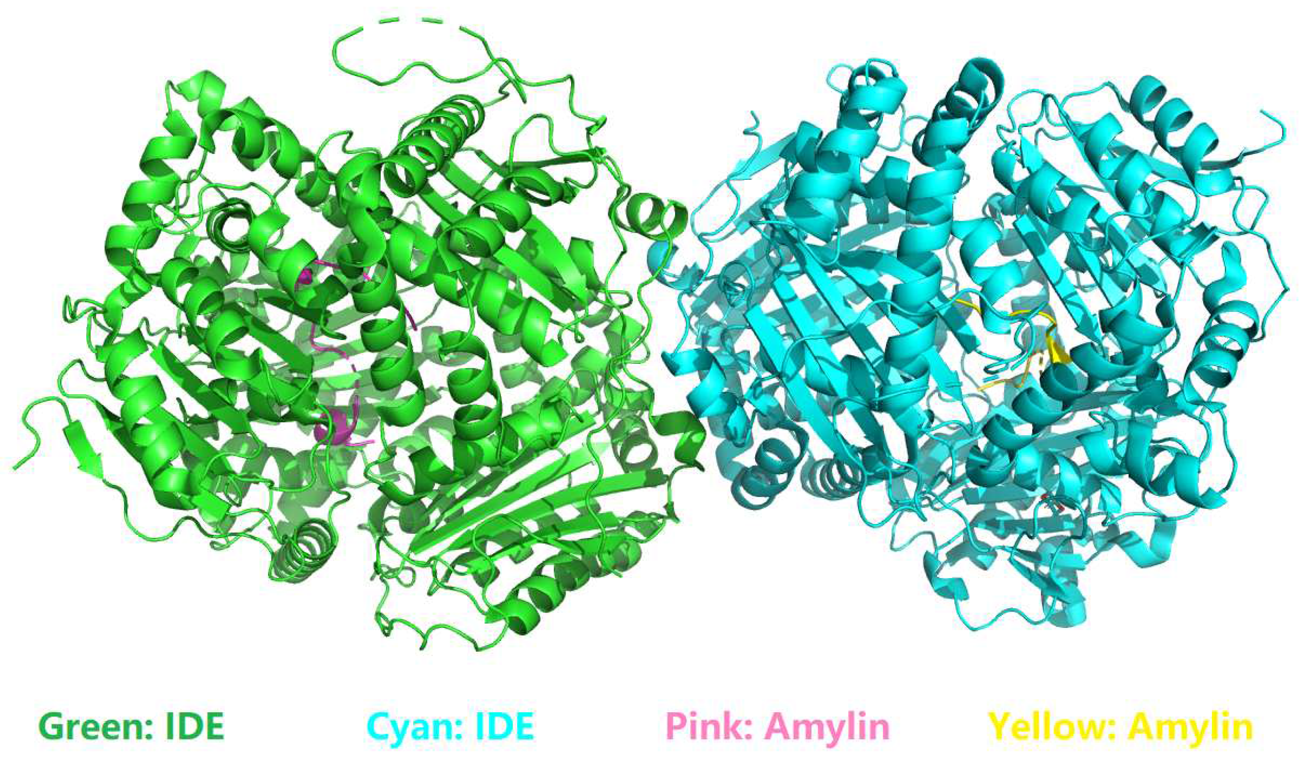 Preprints 97895 g001