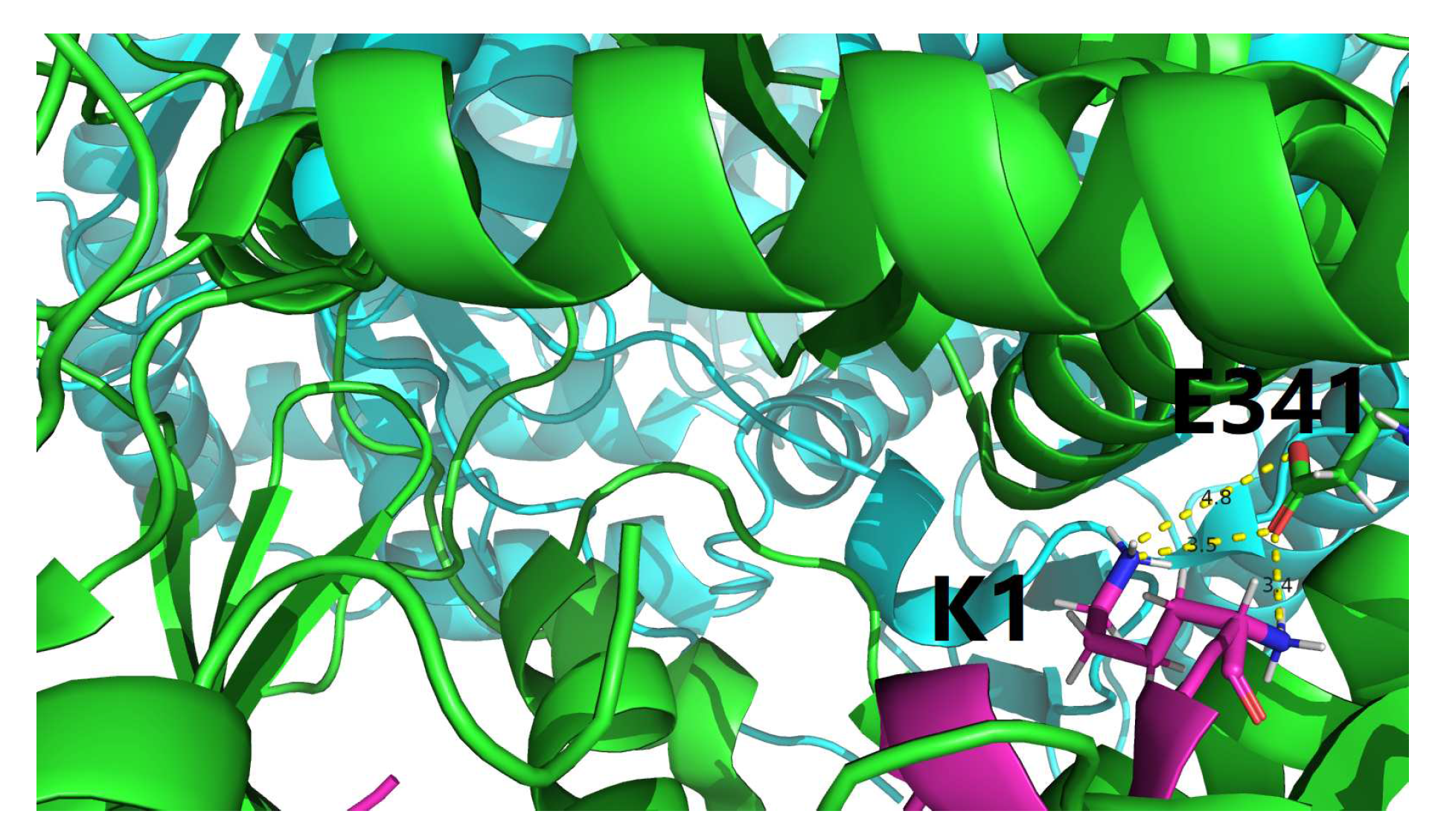 Preprints 97895 g002