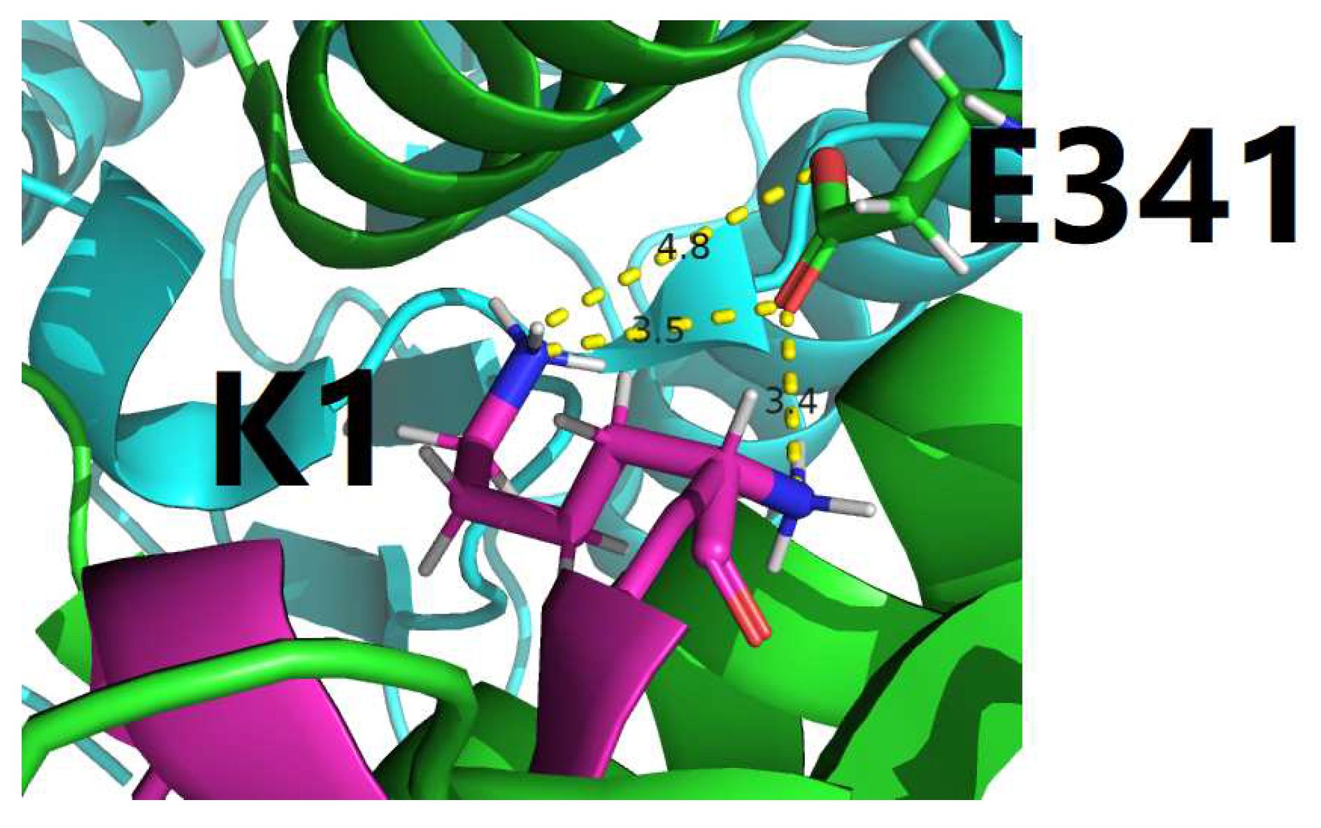 Preprints 97895 g003