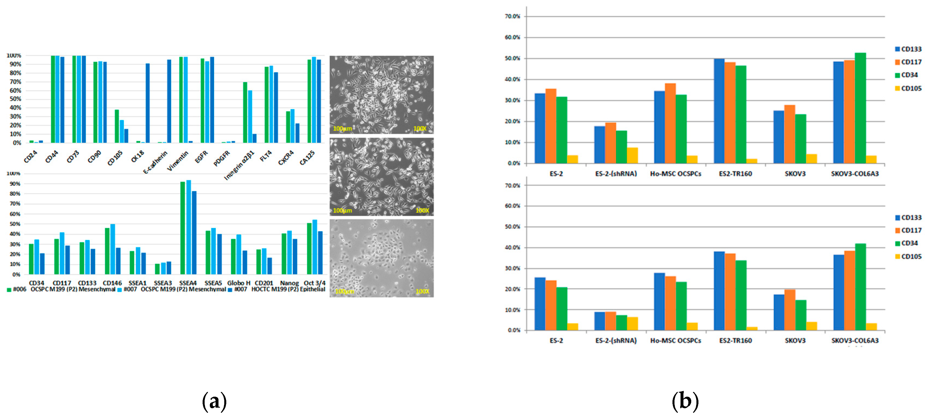 Preprints 109578 g001