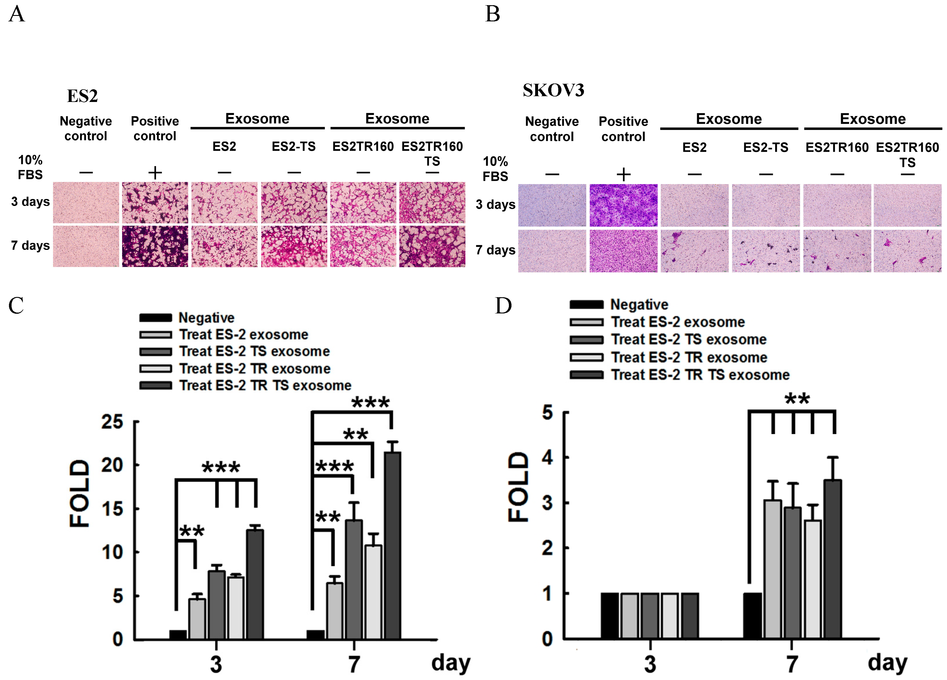 Preprints 109578 g002