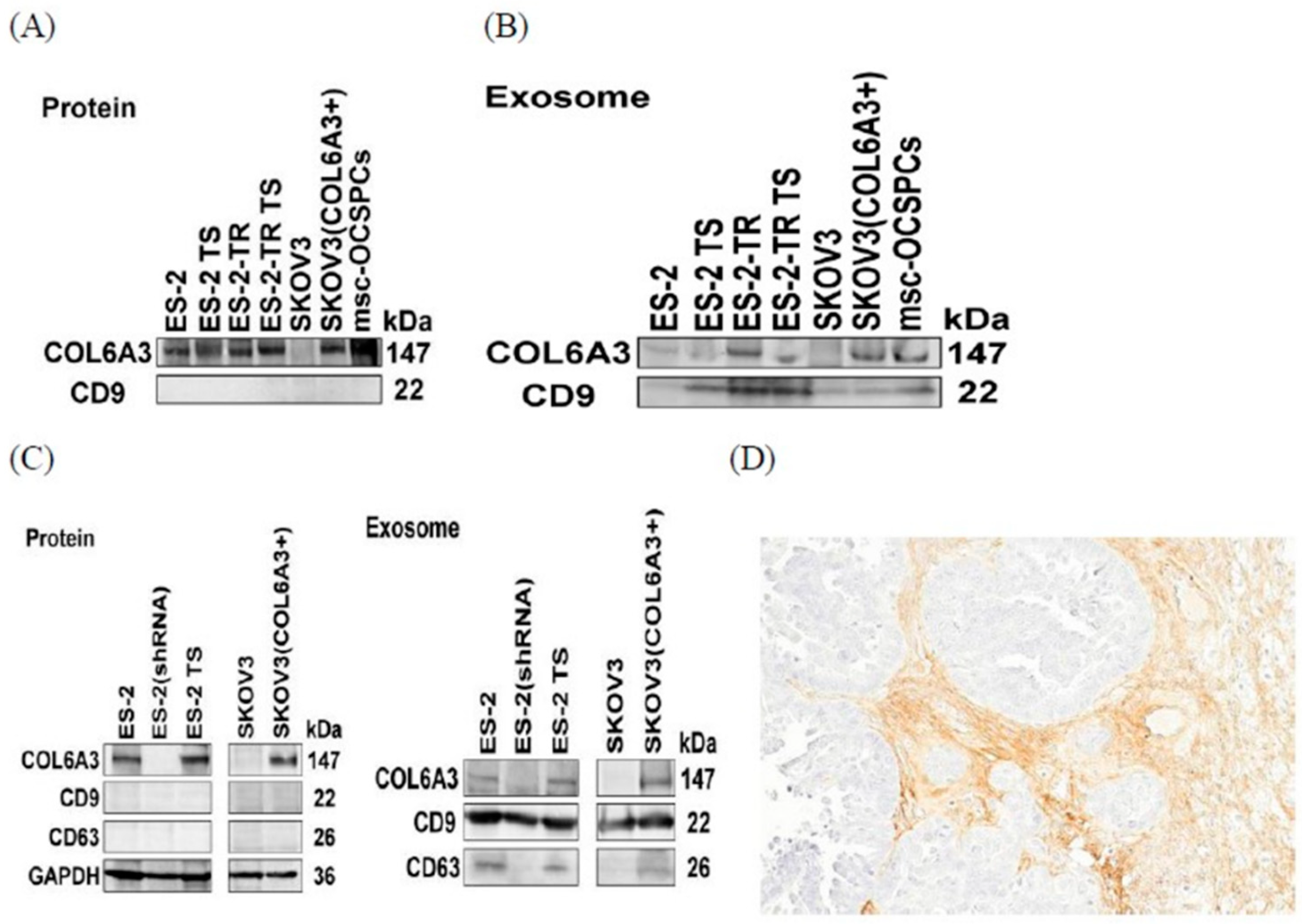 Preprints 109578 g005