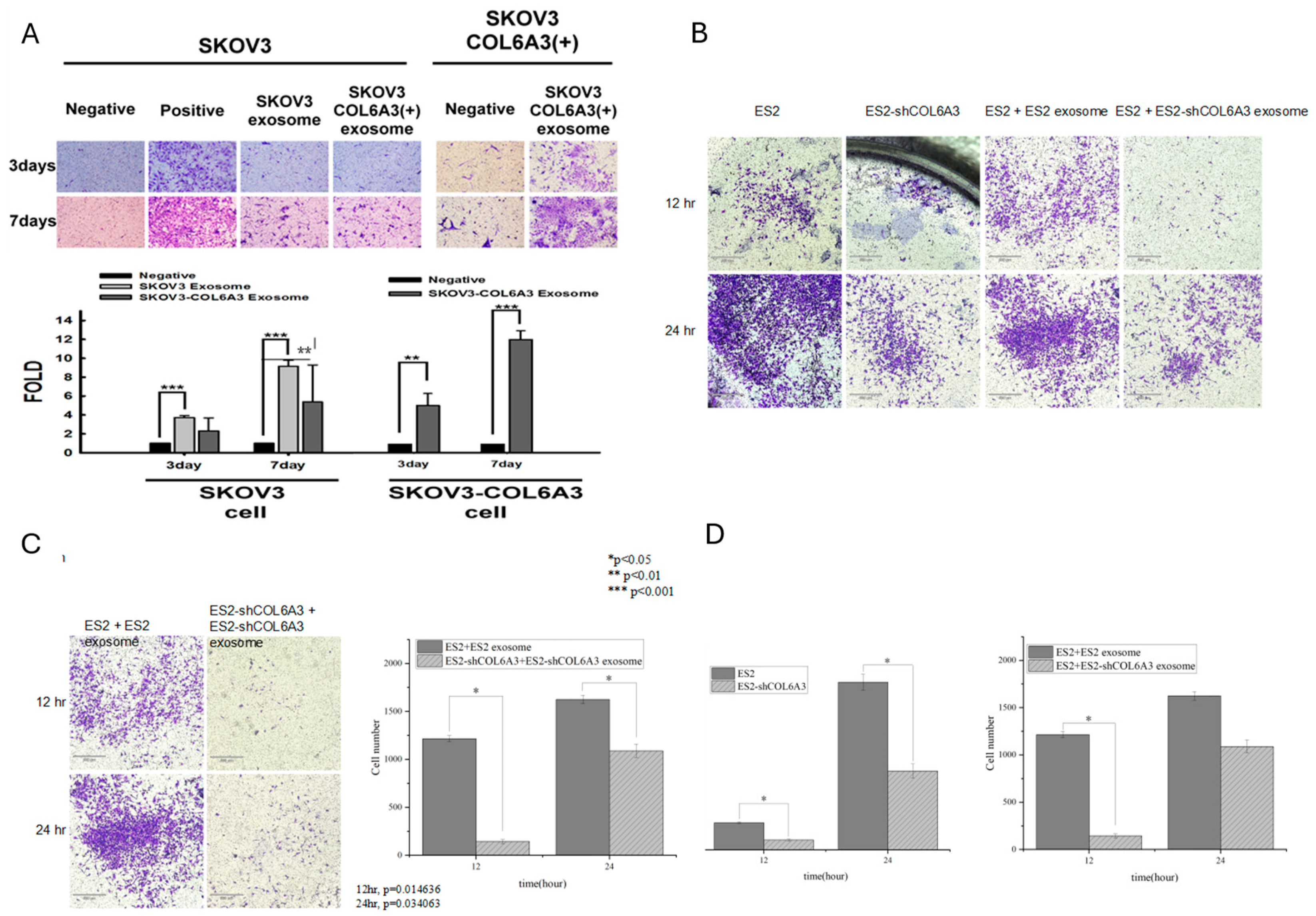 Preprints 109578 g006