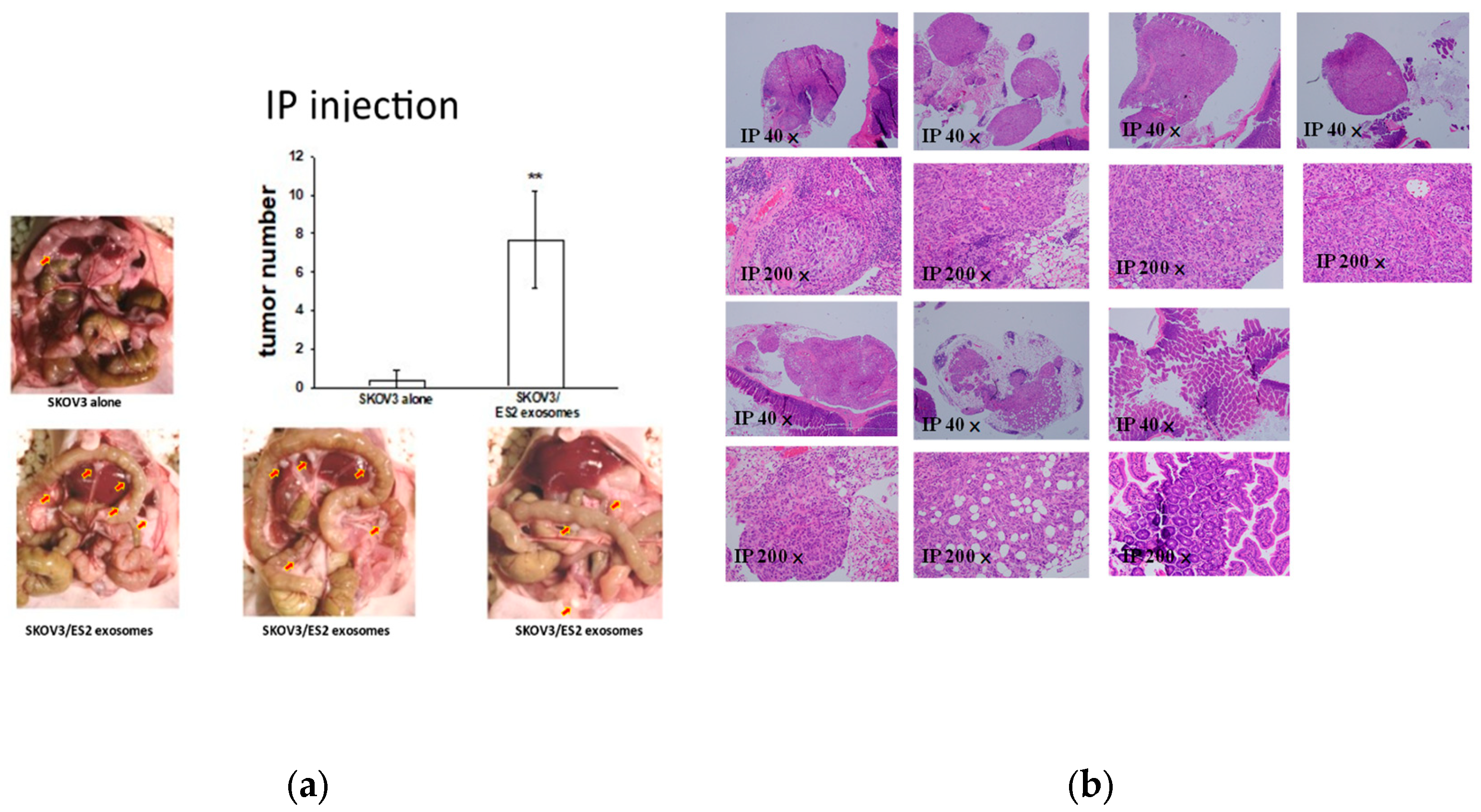 Preprints 109578 g007