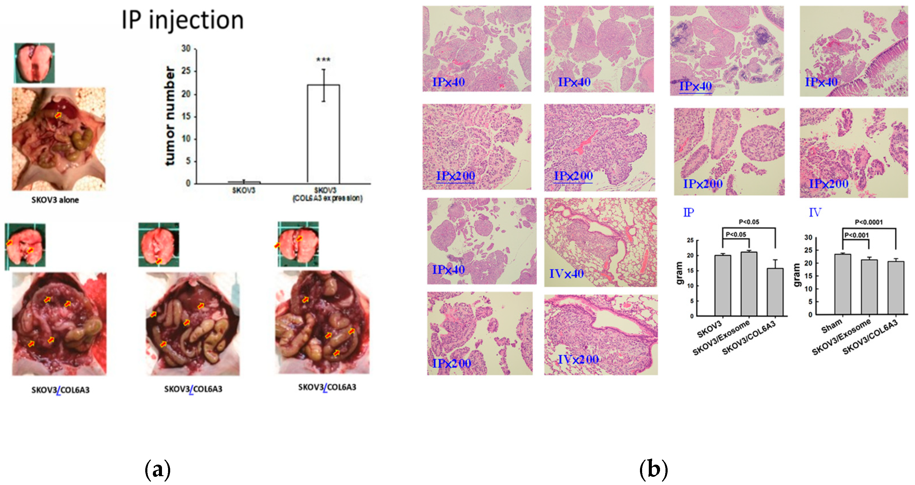 Preprints 109578 g008