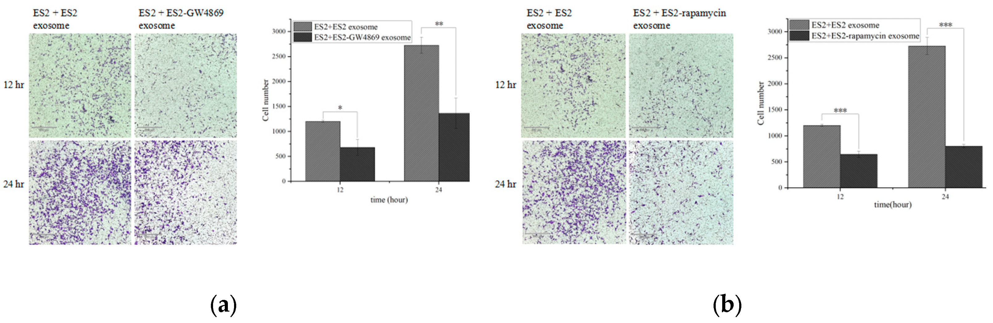 Preprints 109578 g011