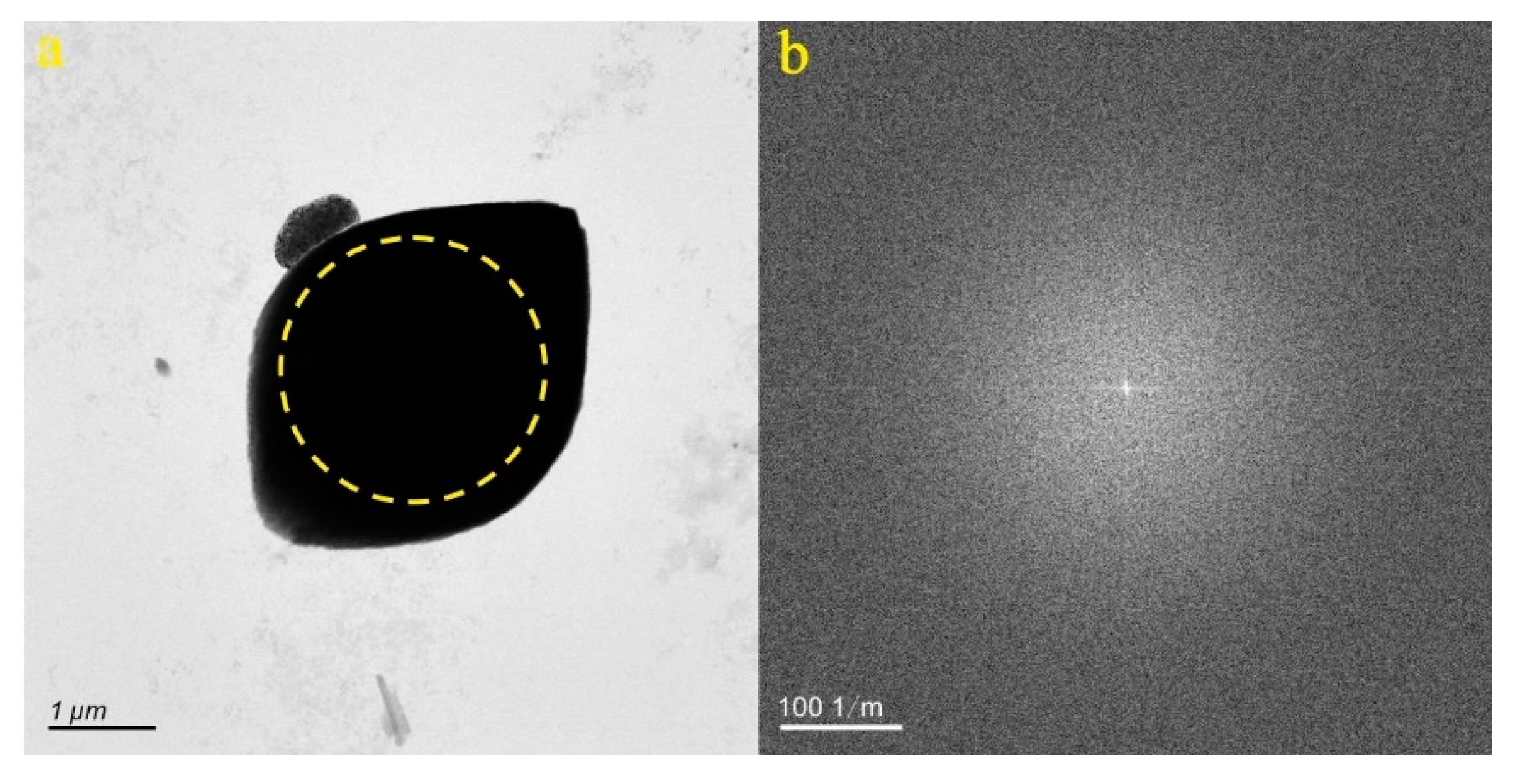 Preprints 86178 g004