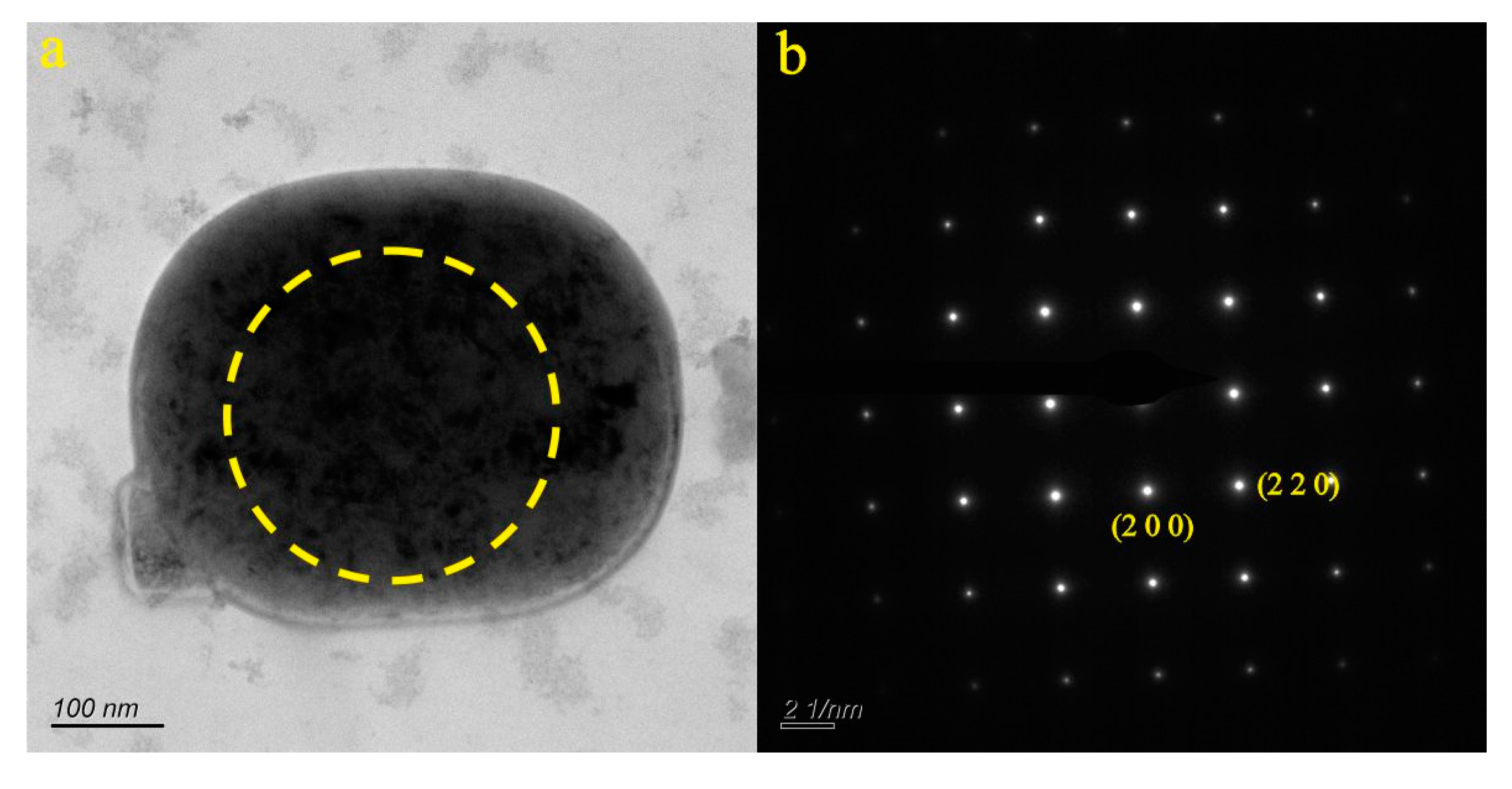 Preprints 86178 g005