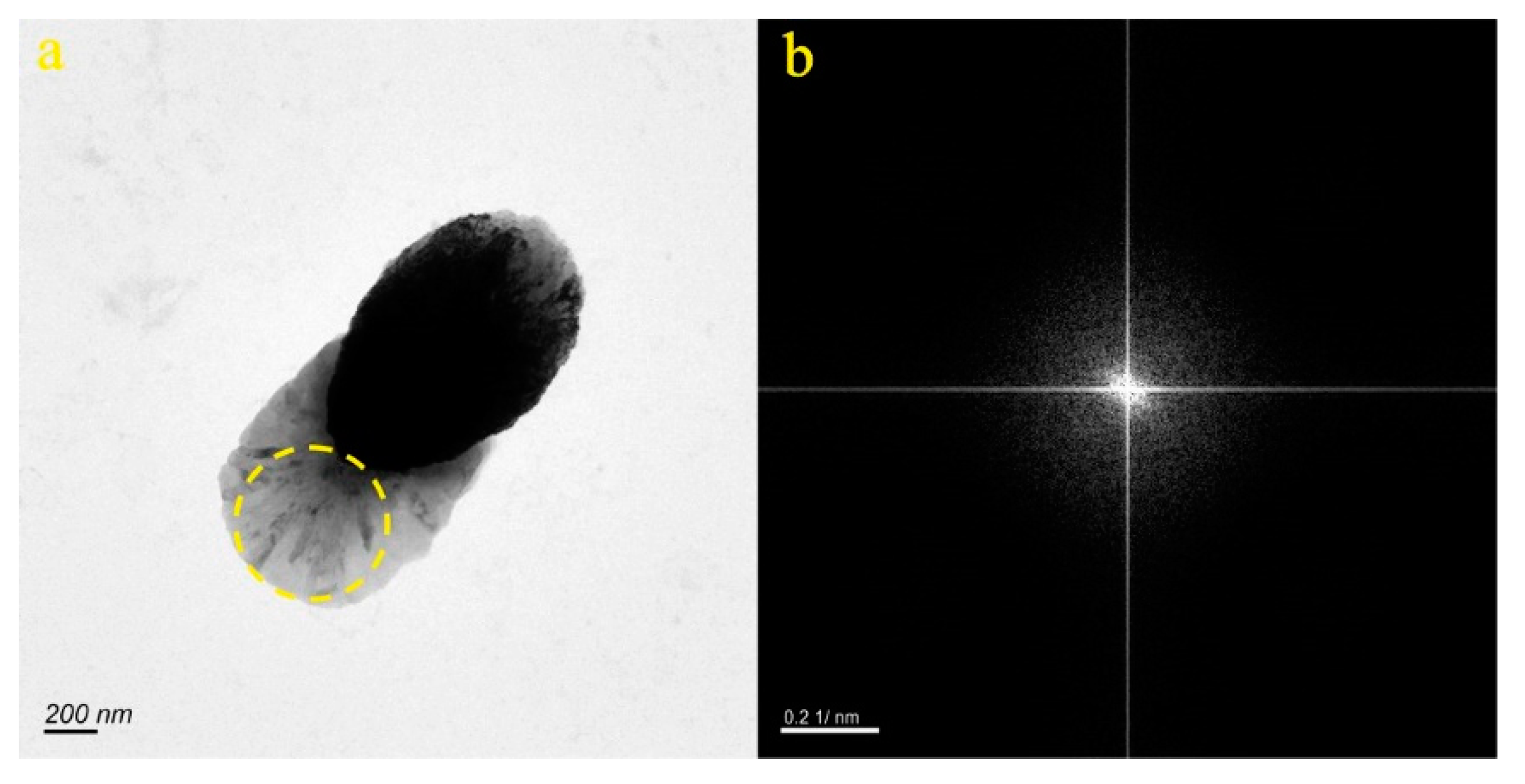 Preprints 86178 g010