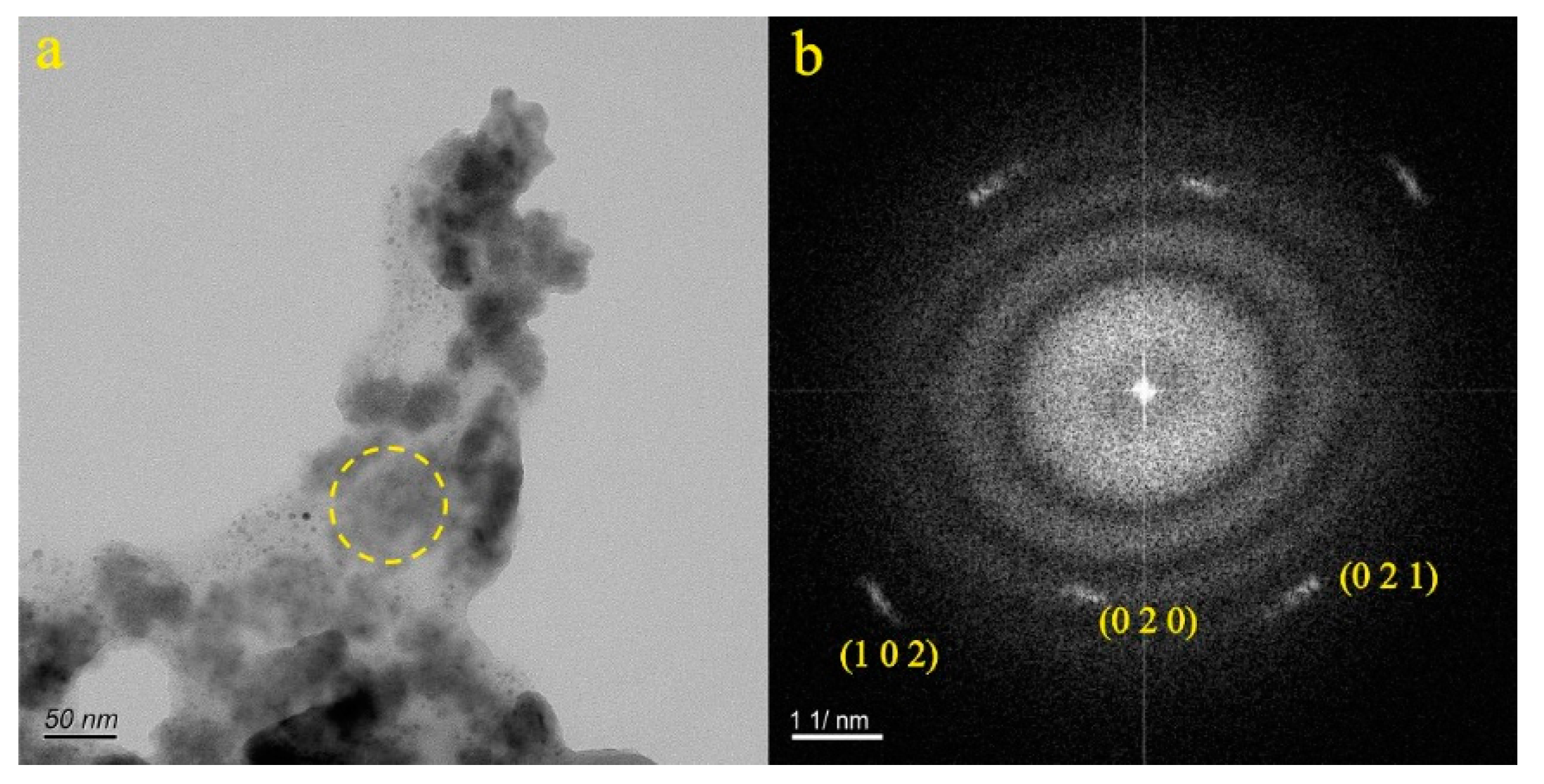 Preprints 86178 g018