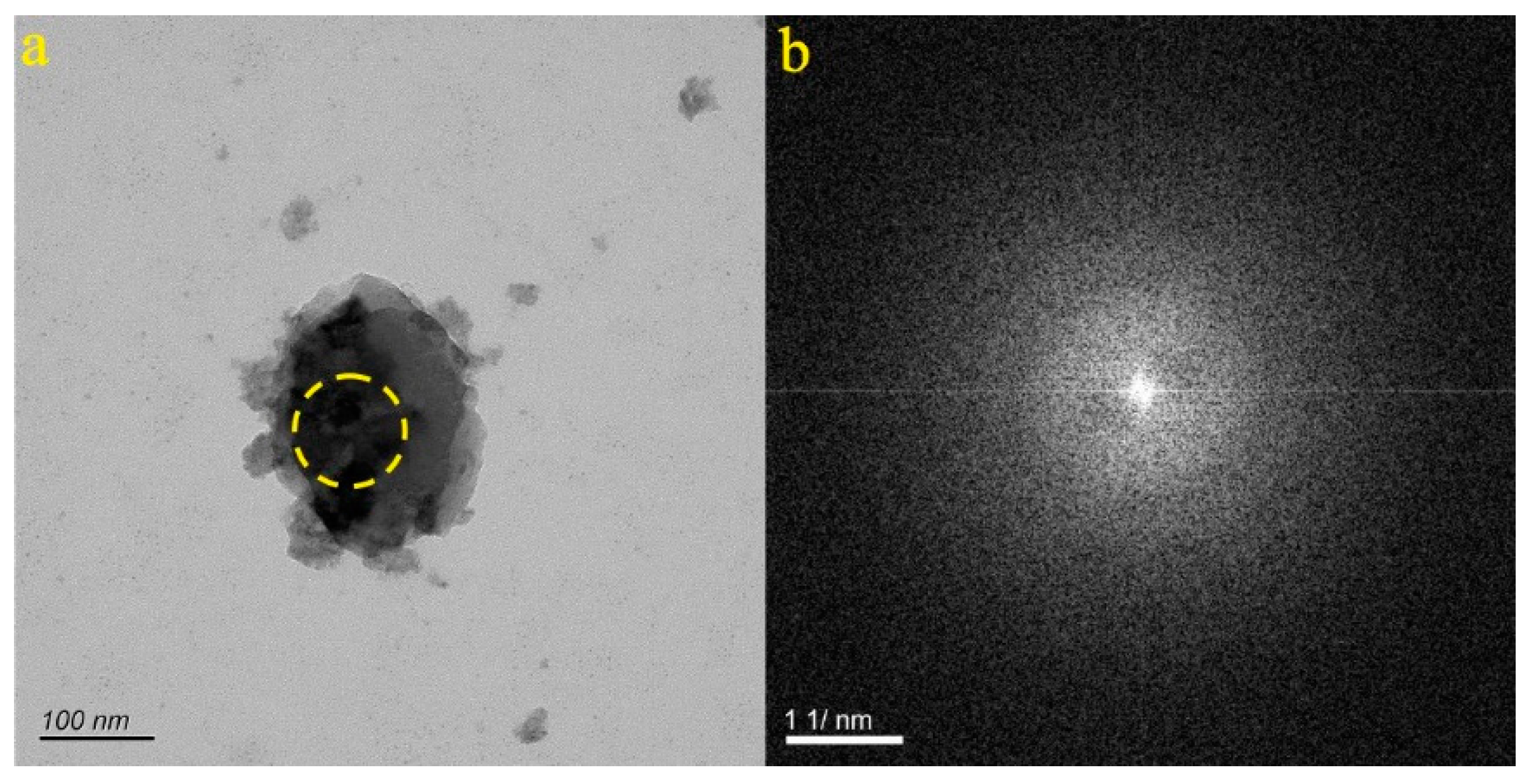 Preprints 86178 g019