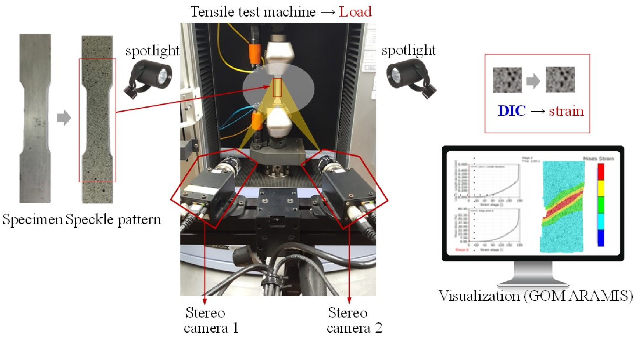 Preprints 113577 g002