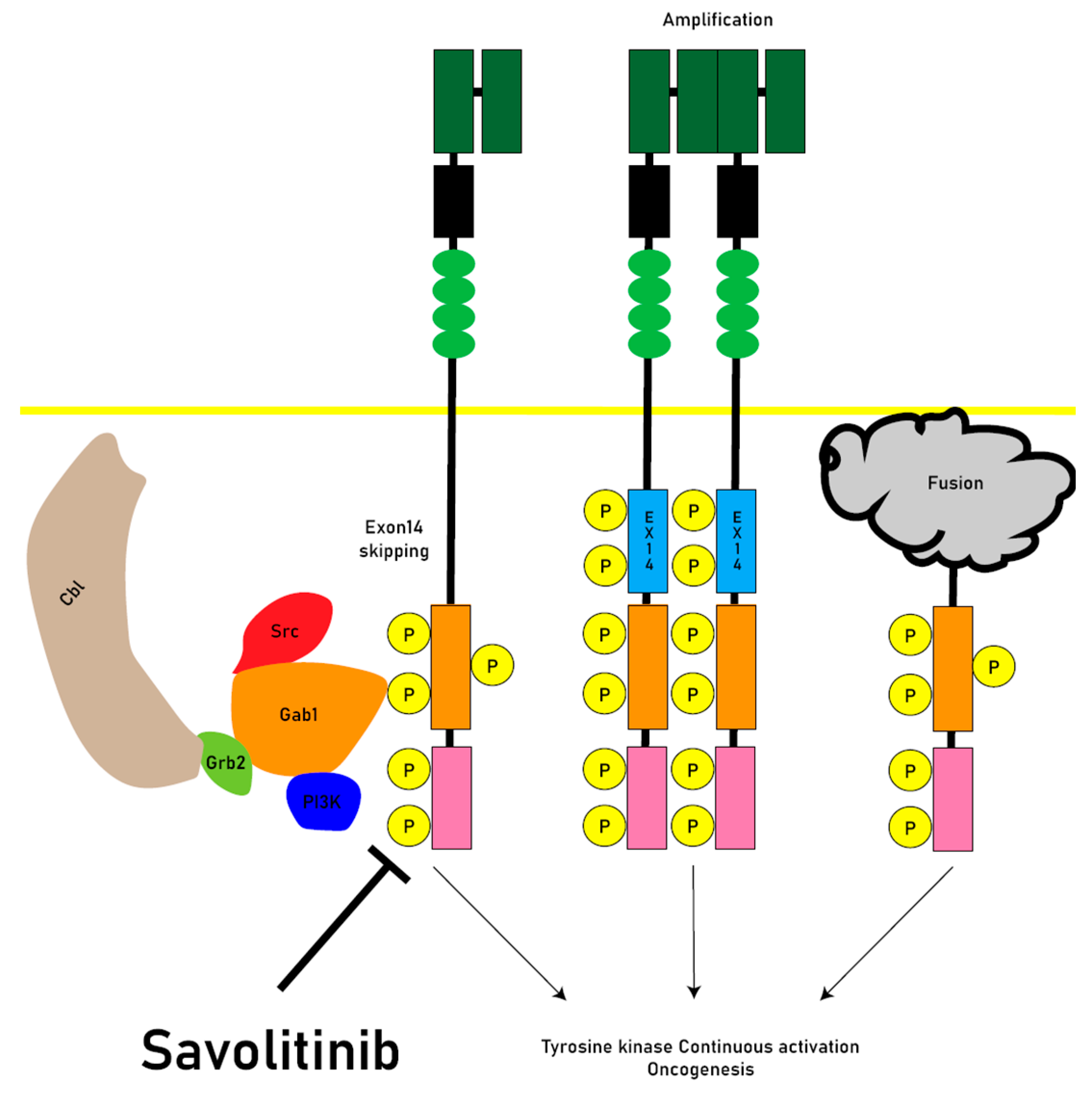 Preprints 81624 g002