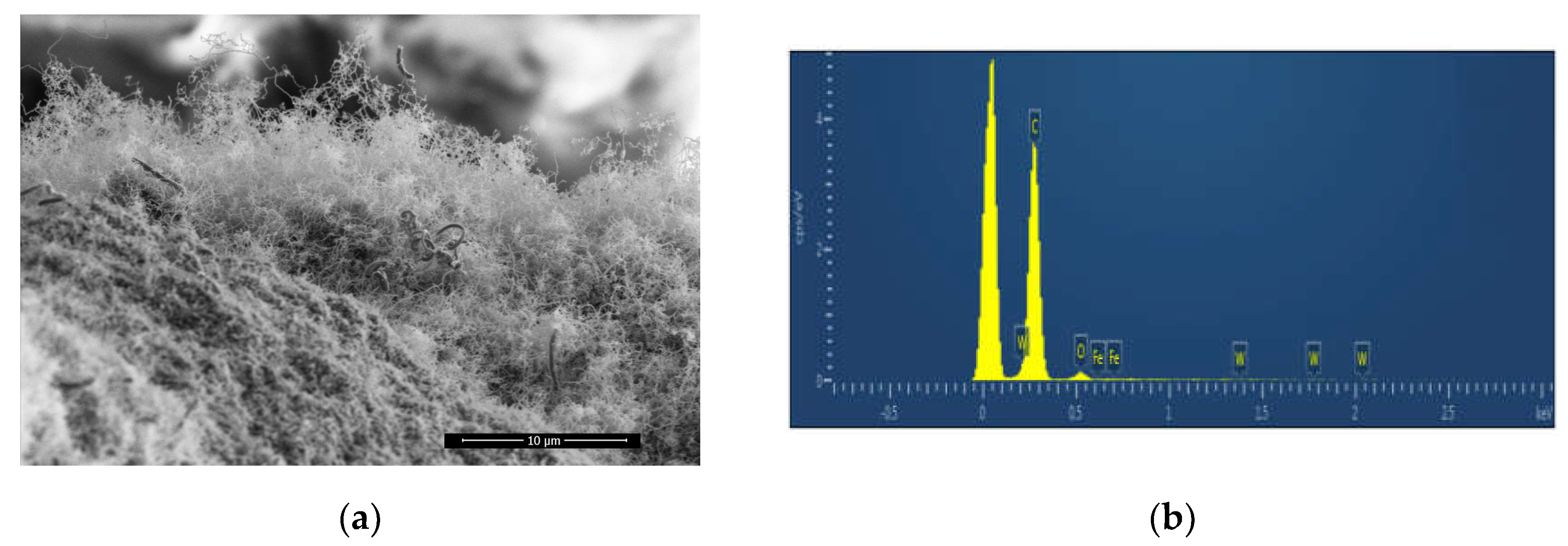 Preprints 113048 g004