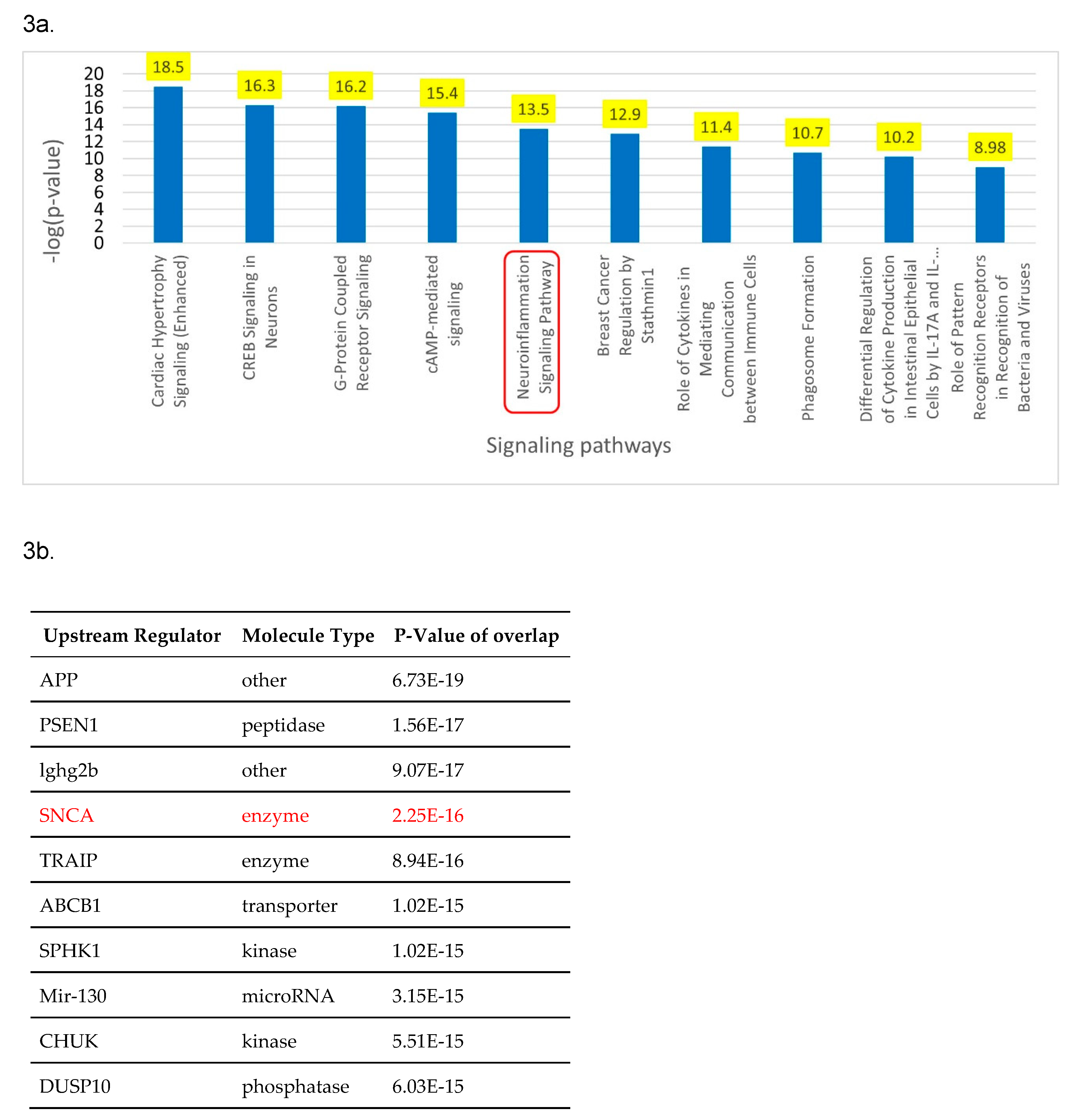 Preprints 78831 g003