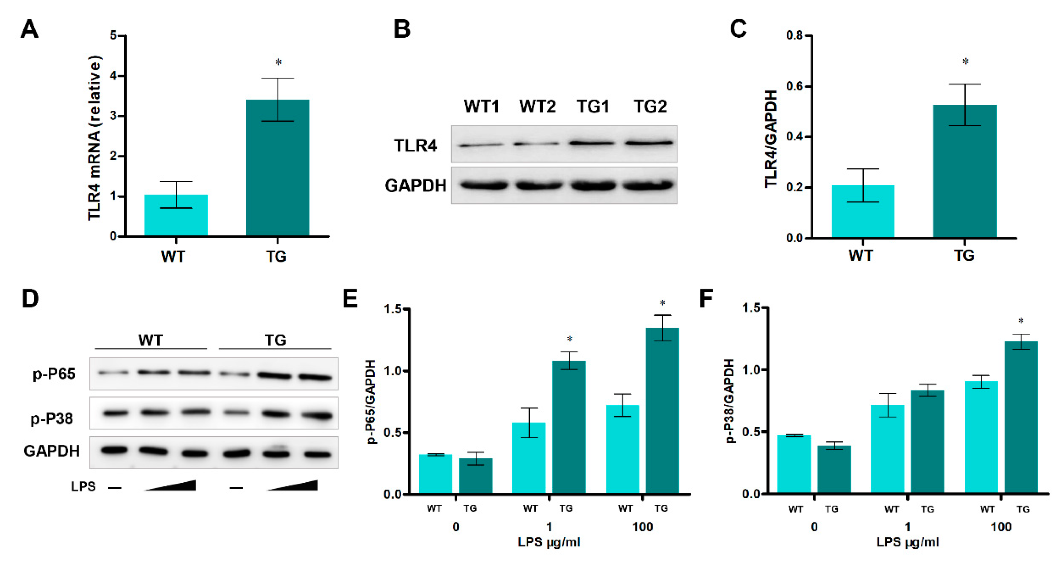 Preprints 75069 g002