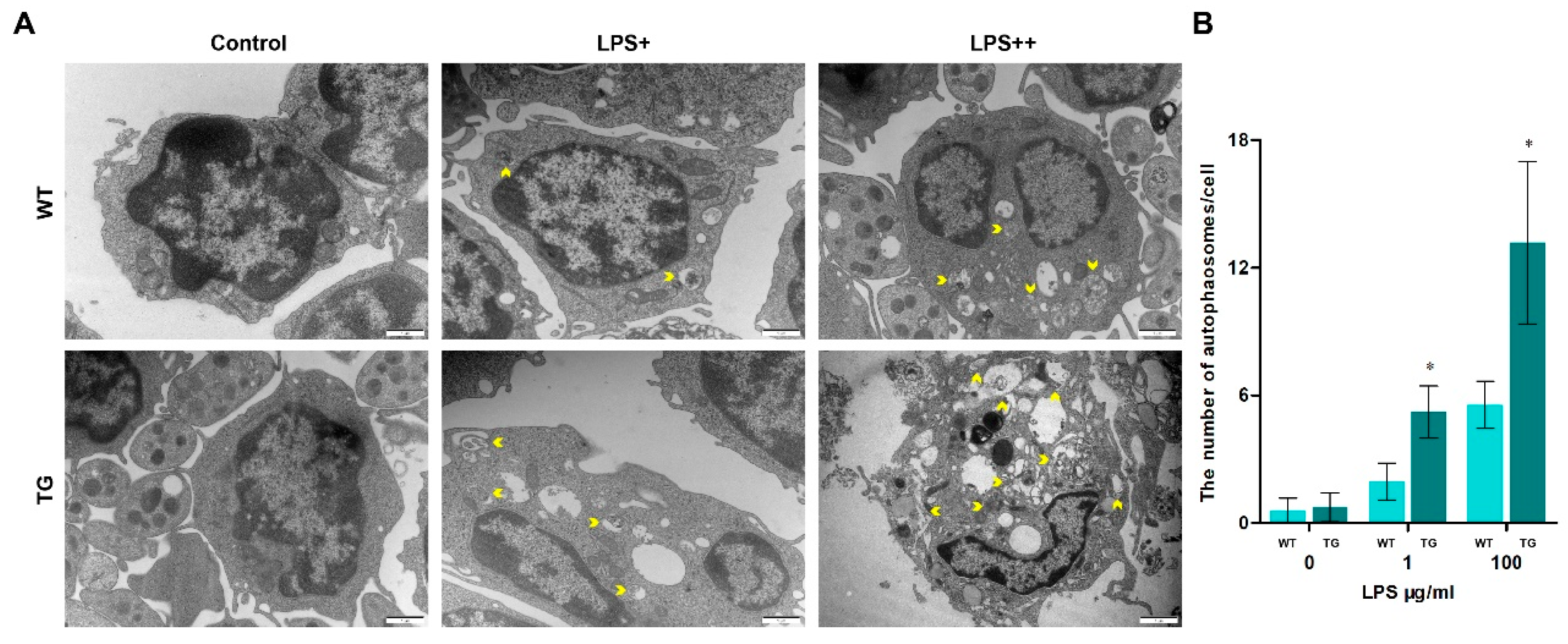 Preprints 75069 g004