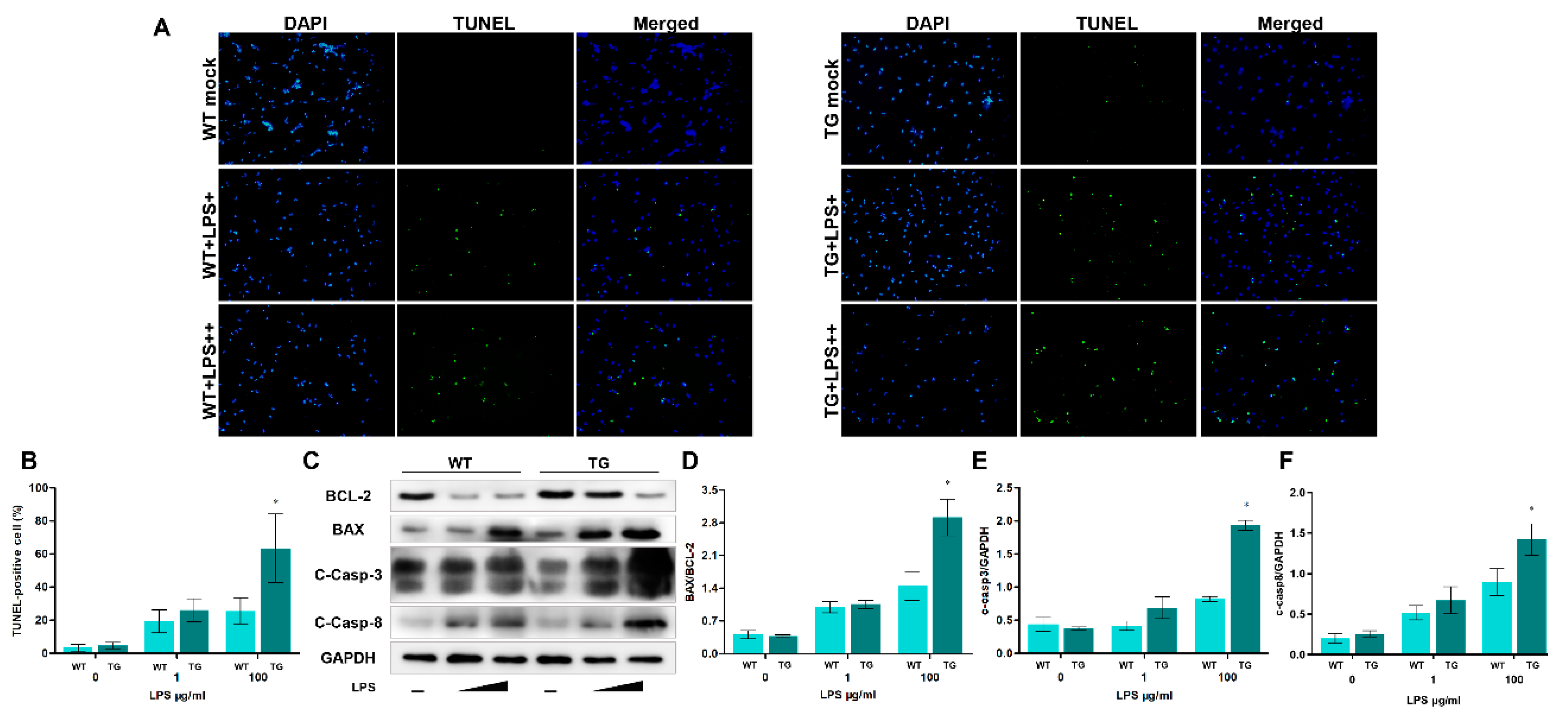 Preprints 75069 g006