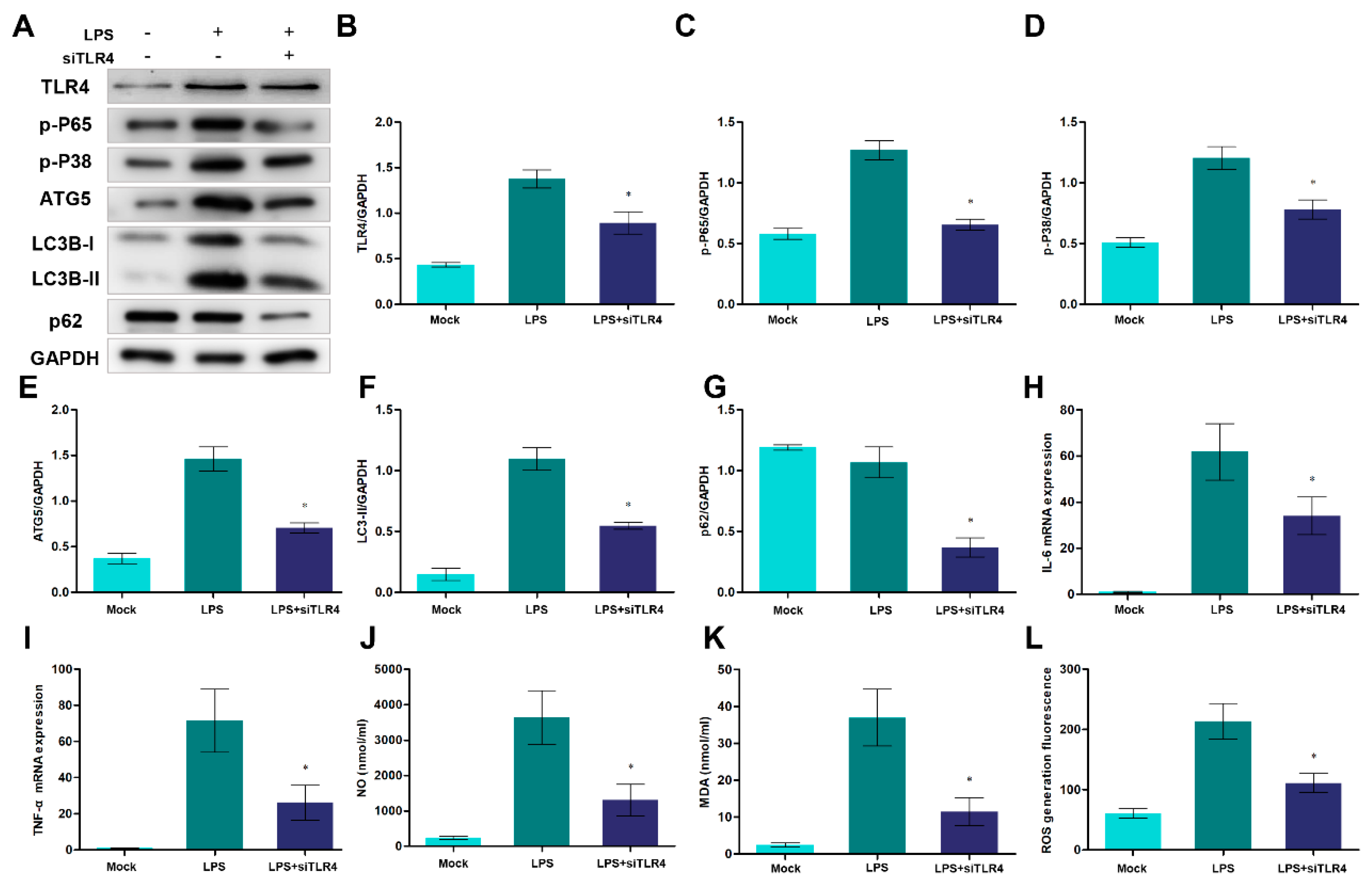 Preprints 75069 g007