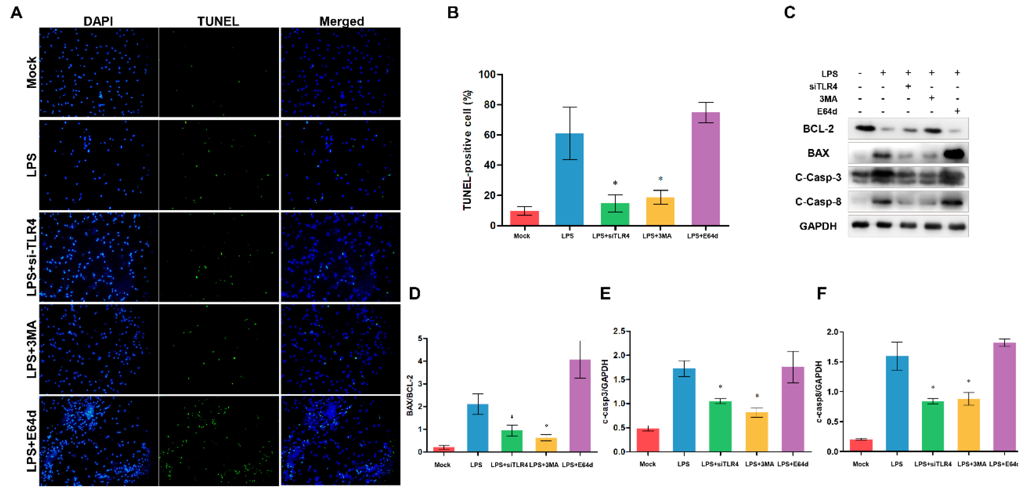 Preprints 75069 g008