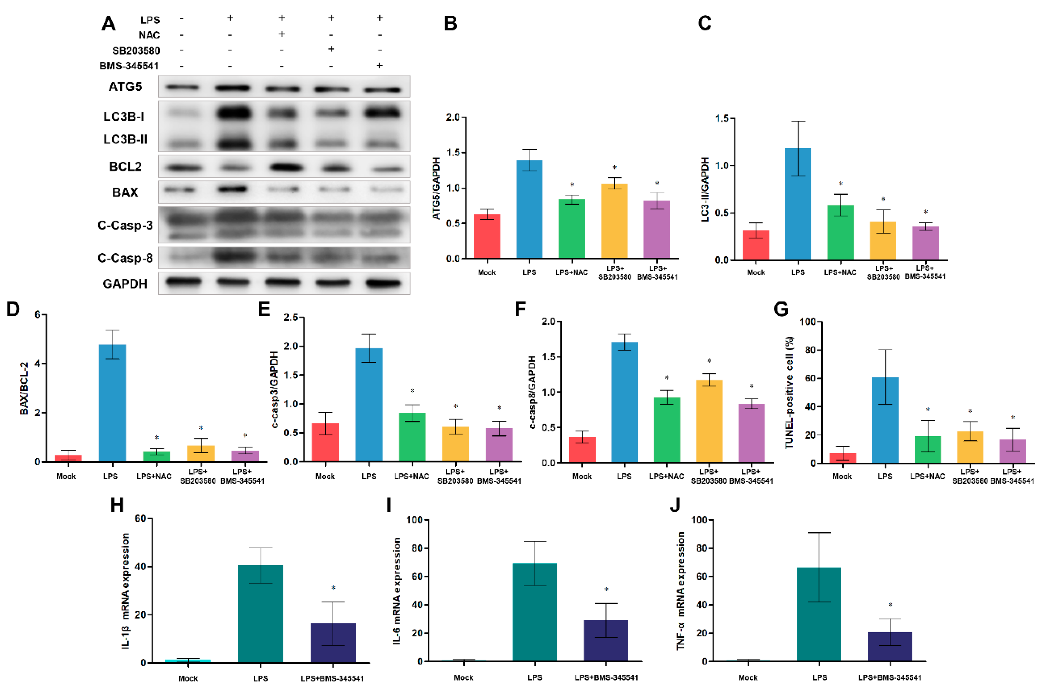 Preprints 75069 g009