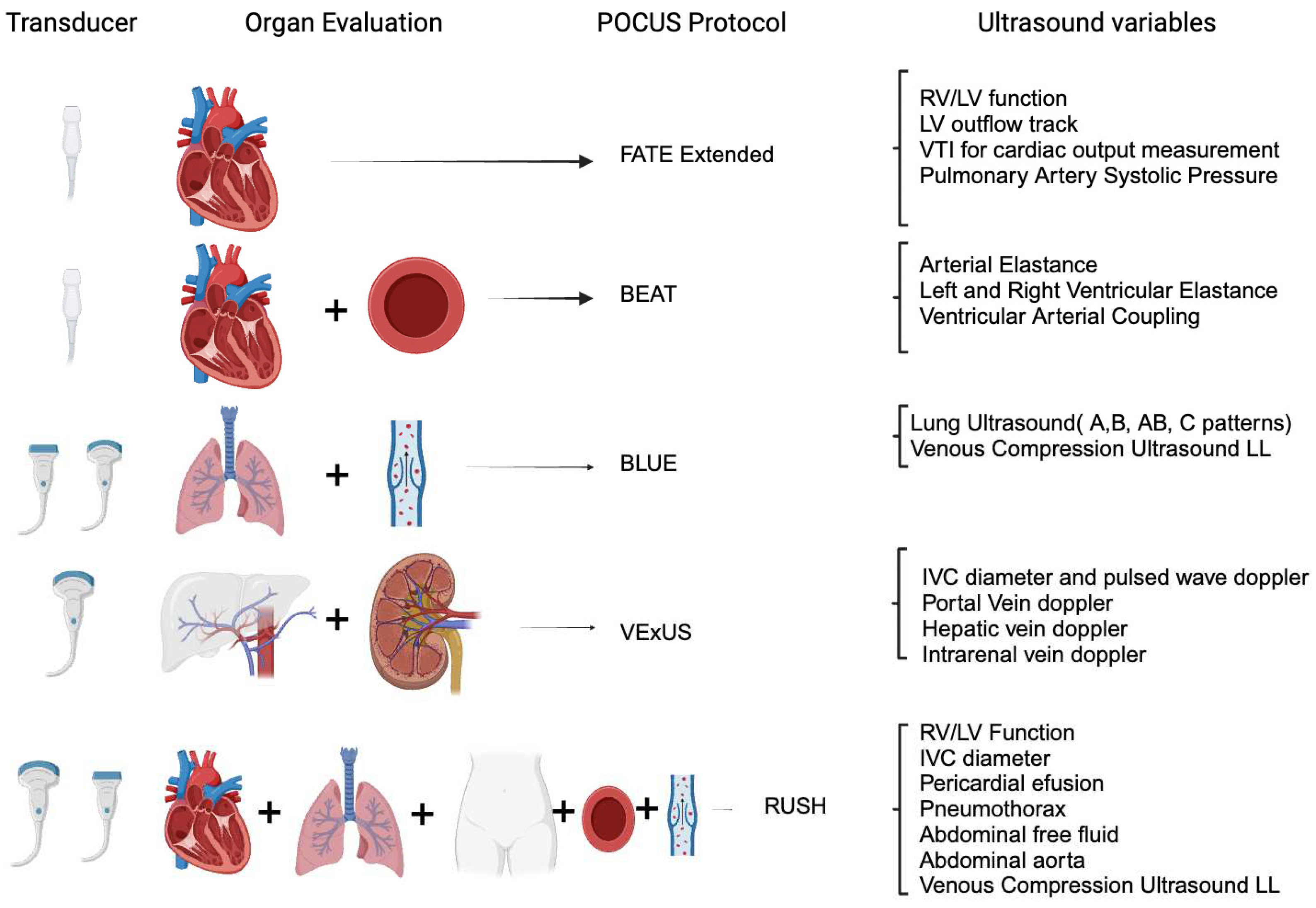 Preprints 96805 g001