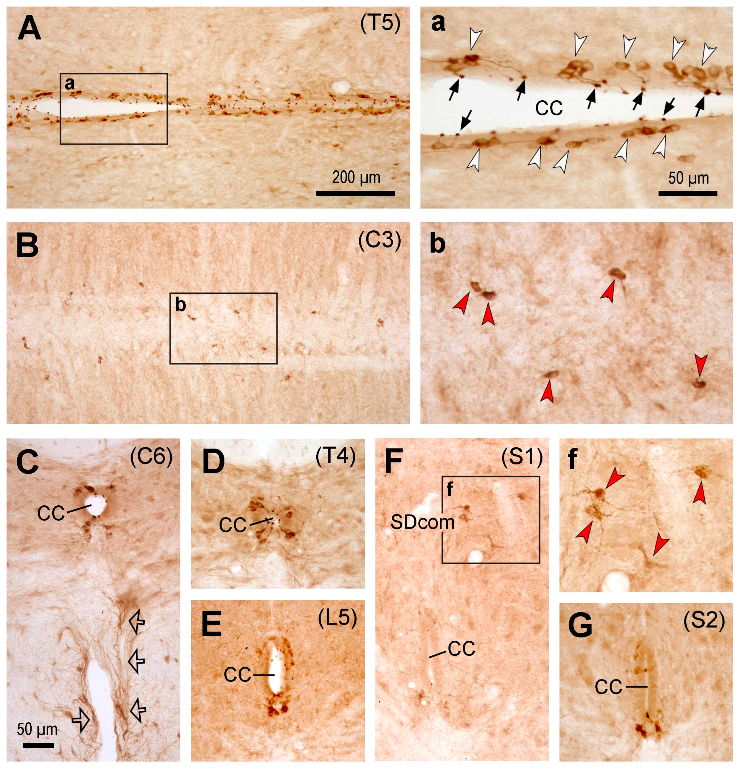 Preprints 82662 g002