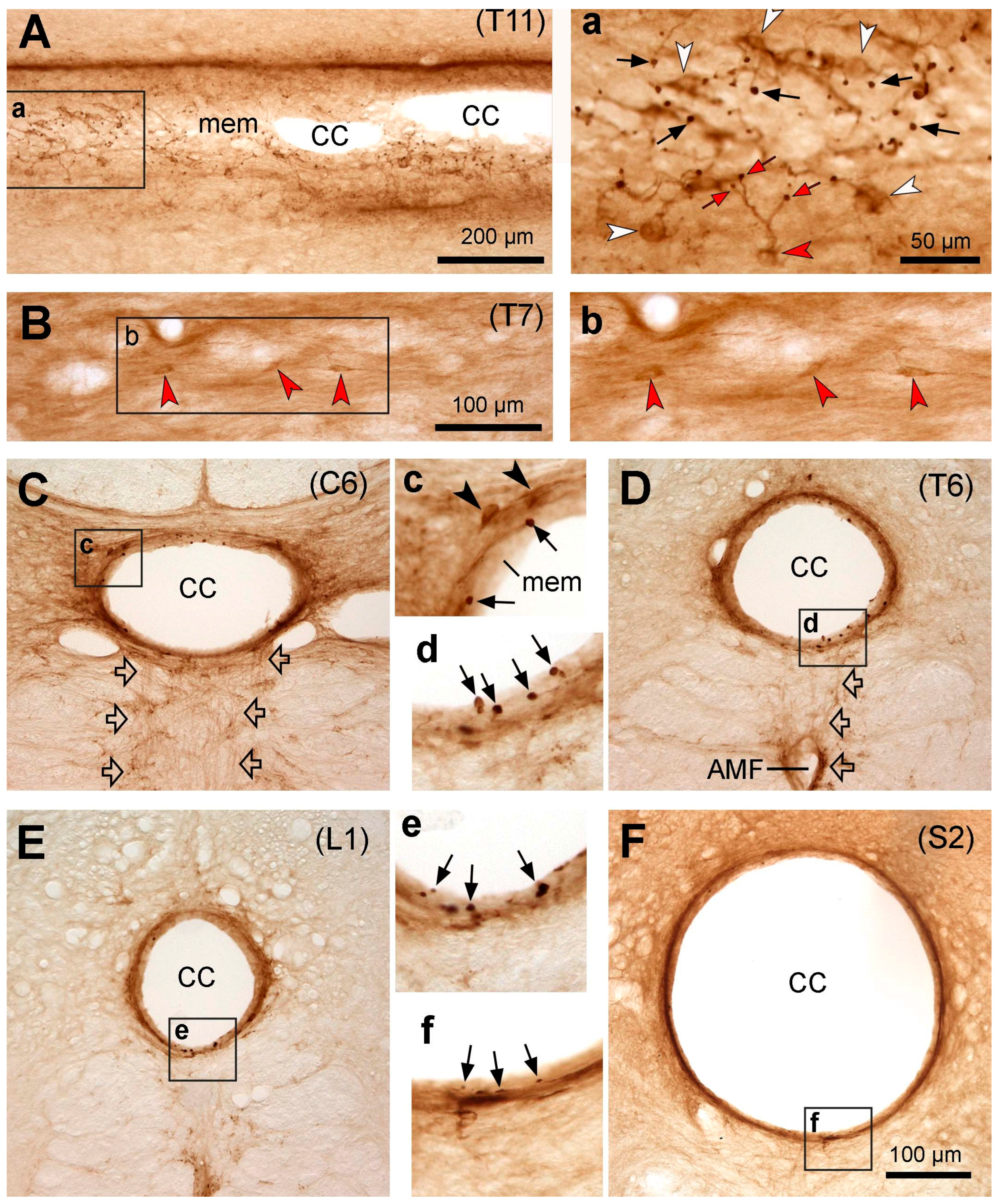 Preprints 82662 g003