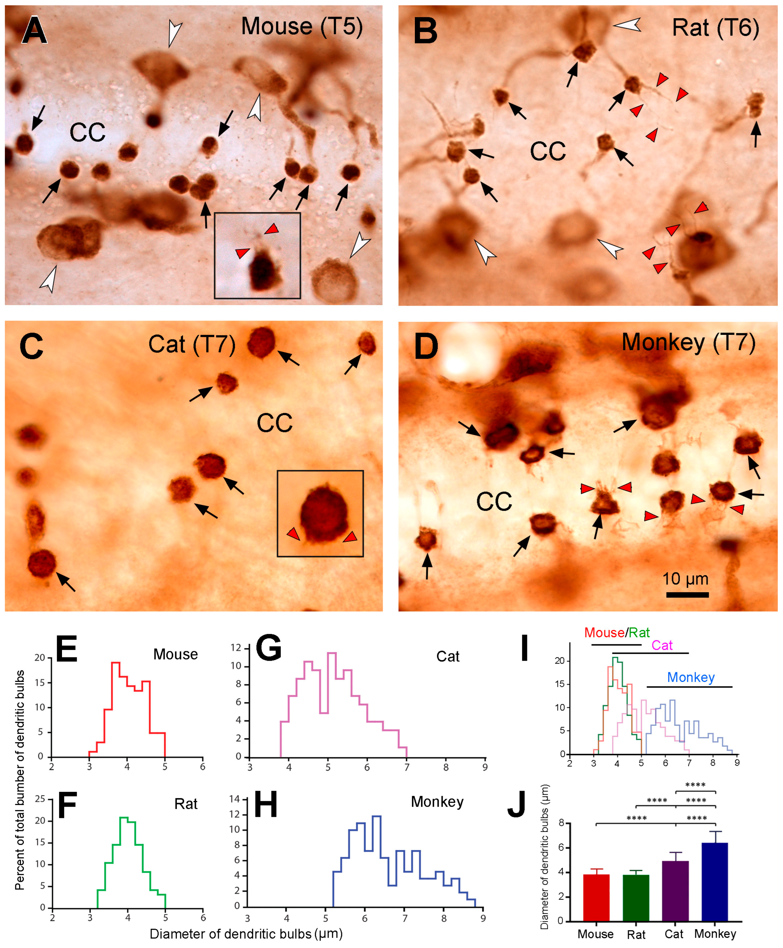 Preprints 82662 g006