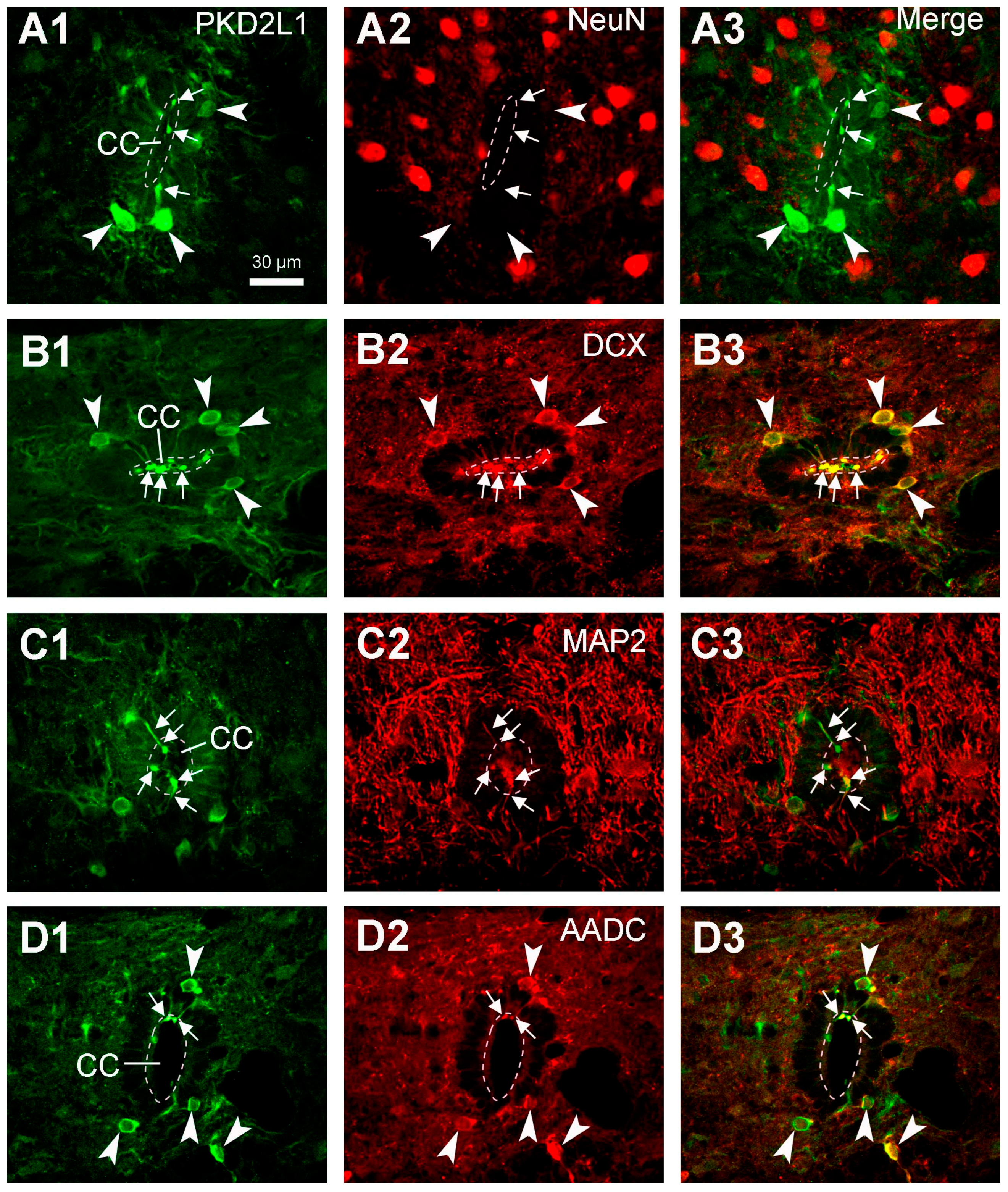 Preprints 82662 g007