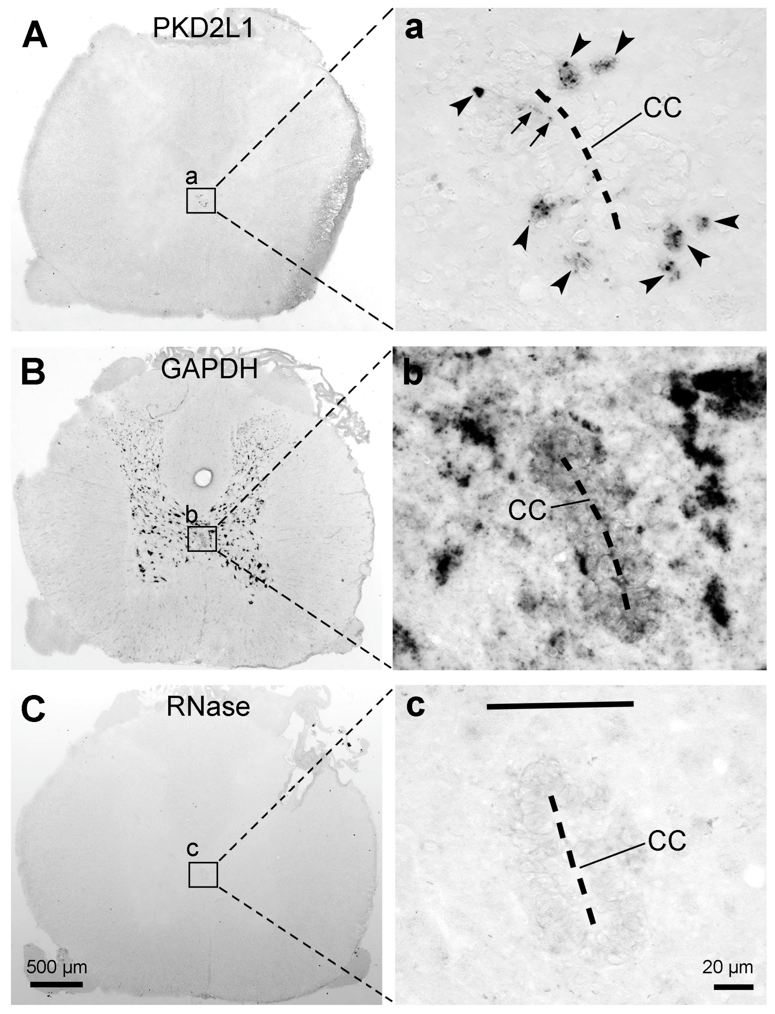 Preprints 82662 g008