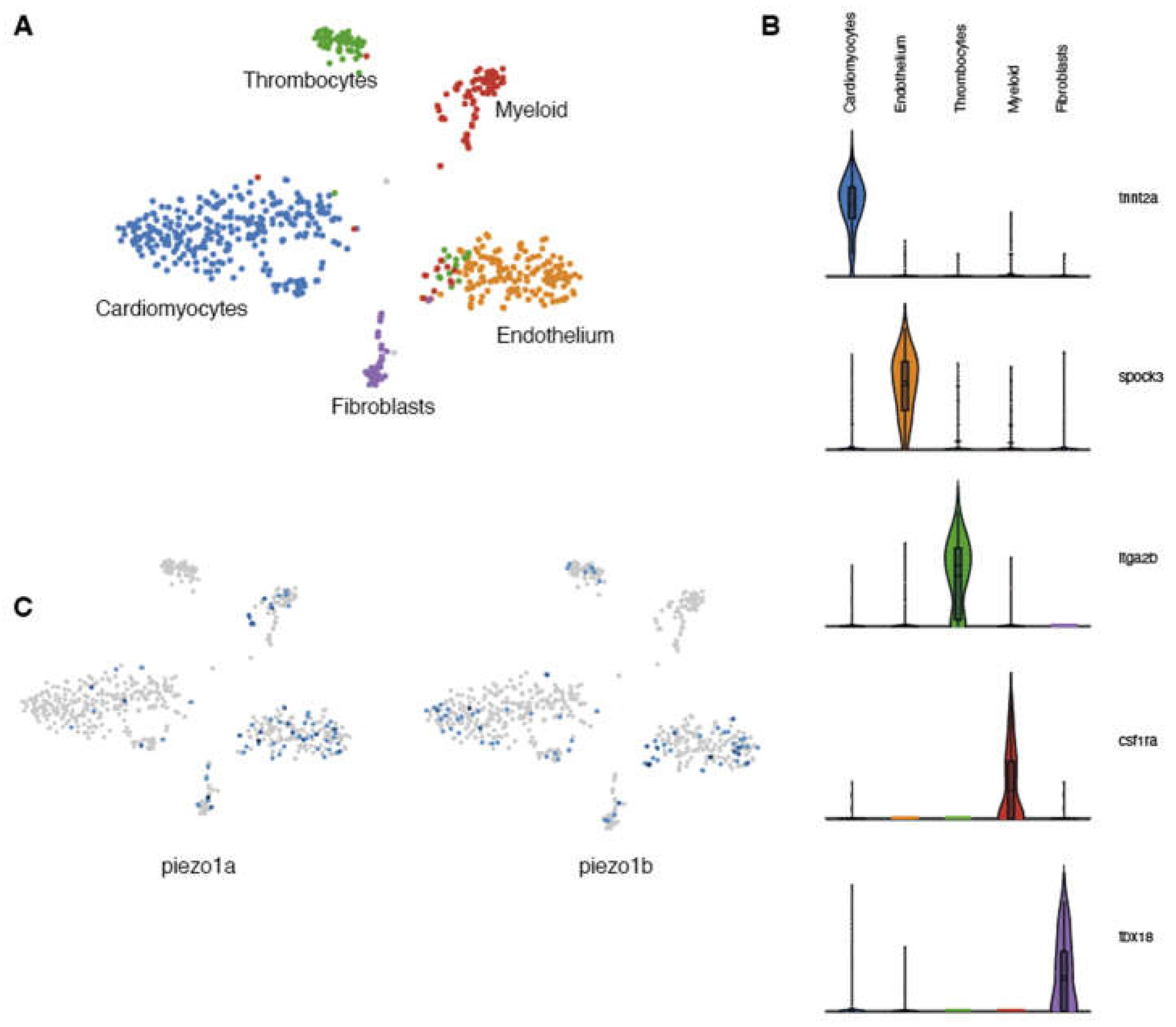 Preprints 68518 g001