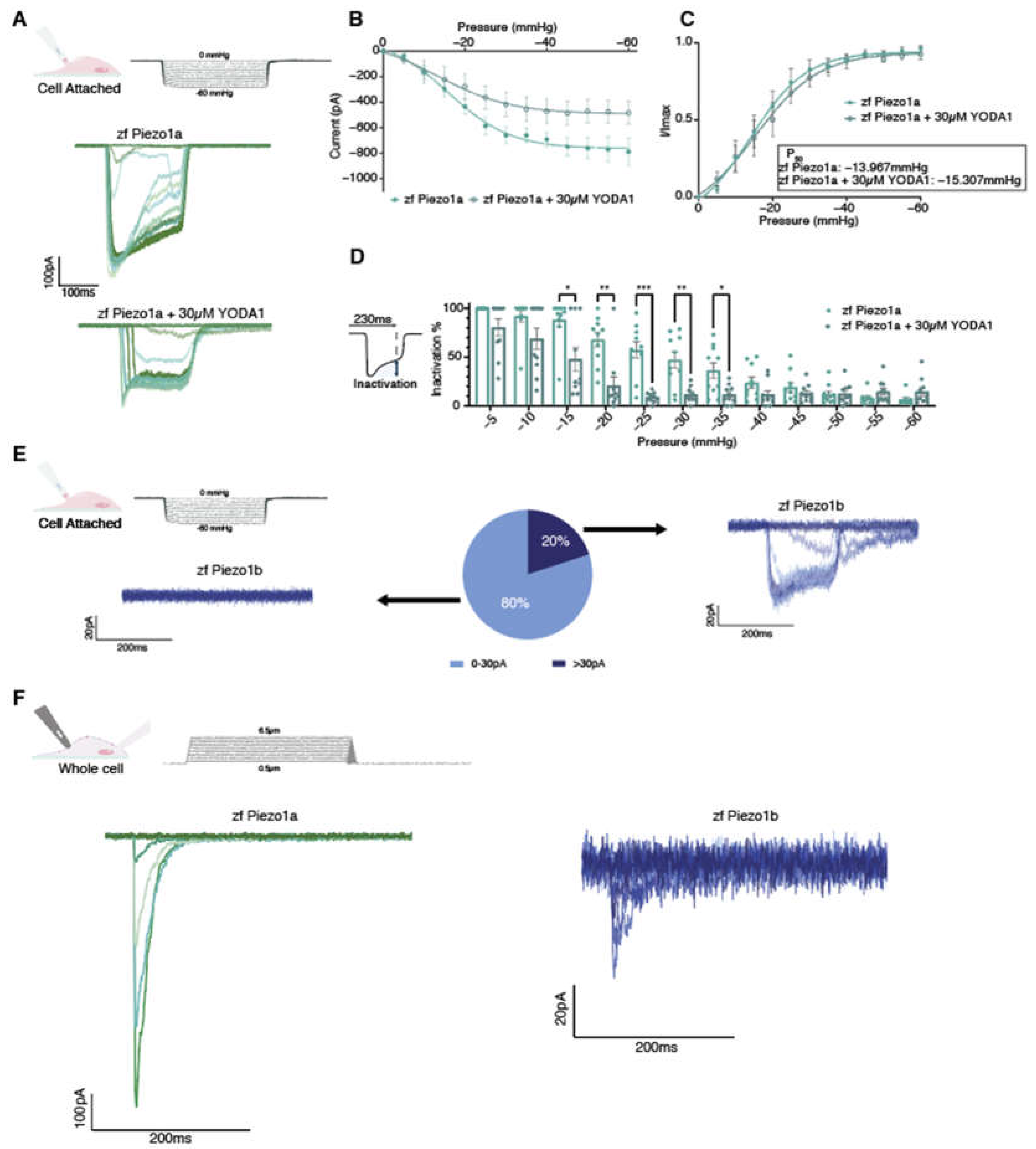 Preprints 68518 g002