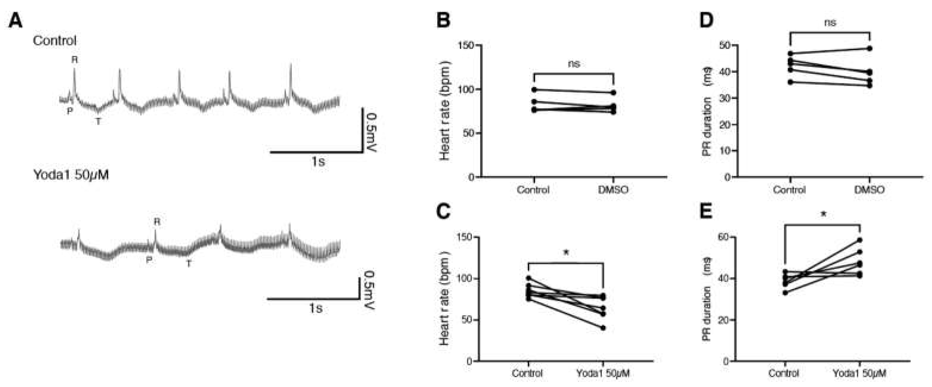 Preprints 68518 g004