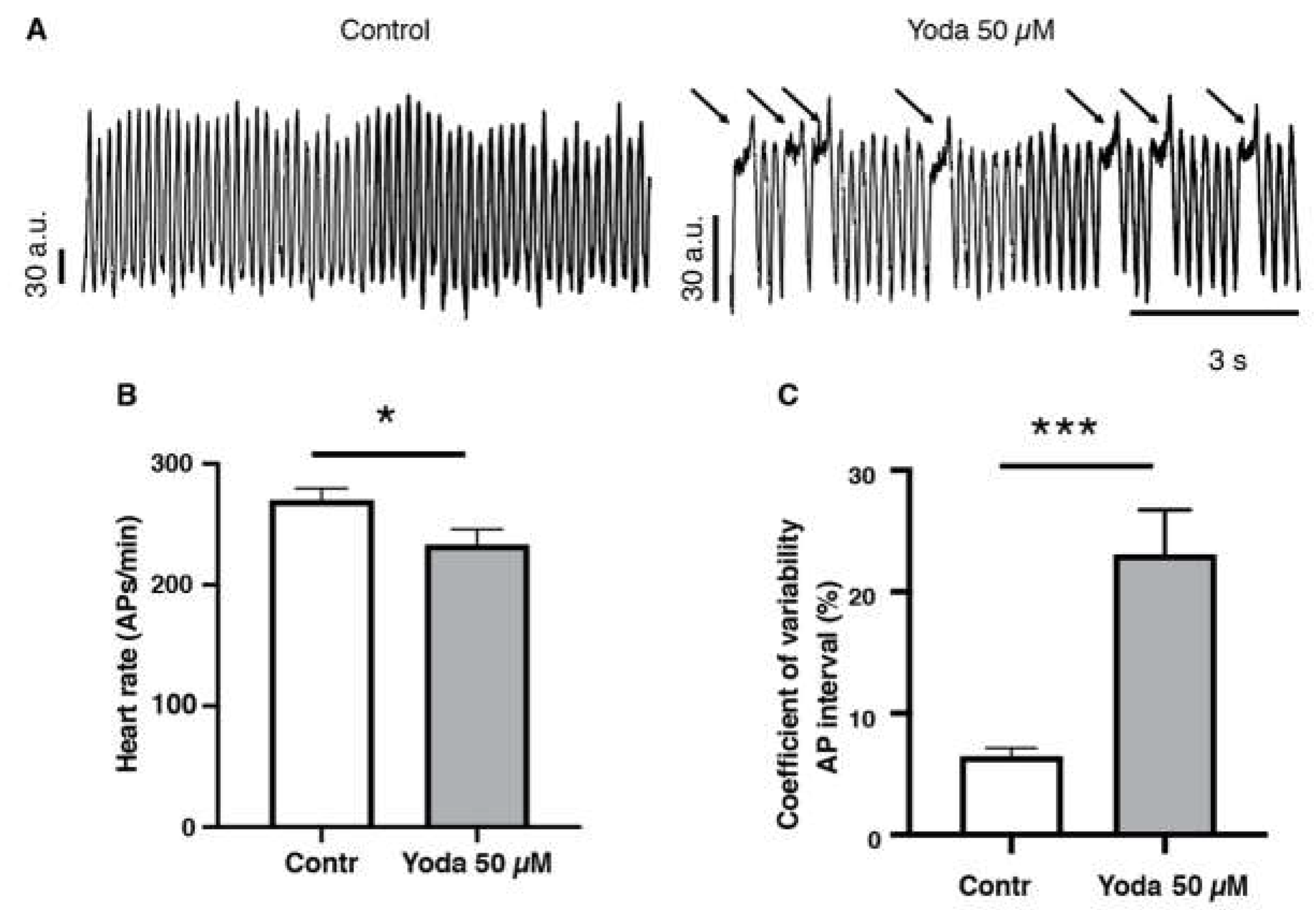 Preprints 68518 g005