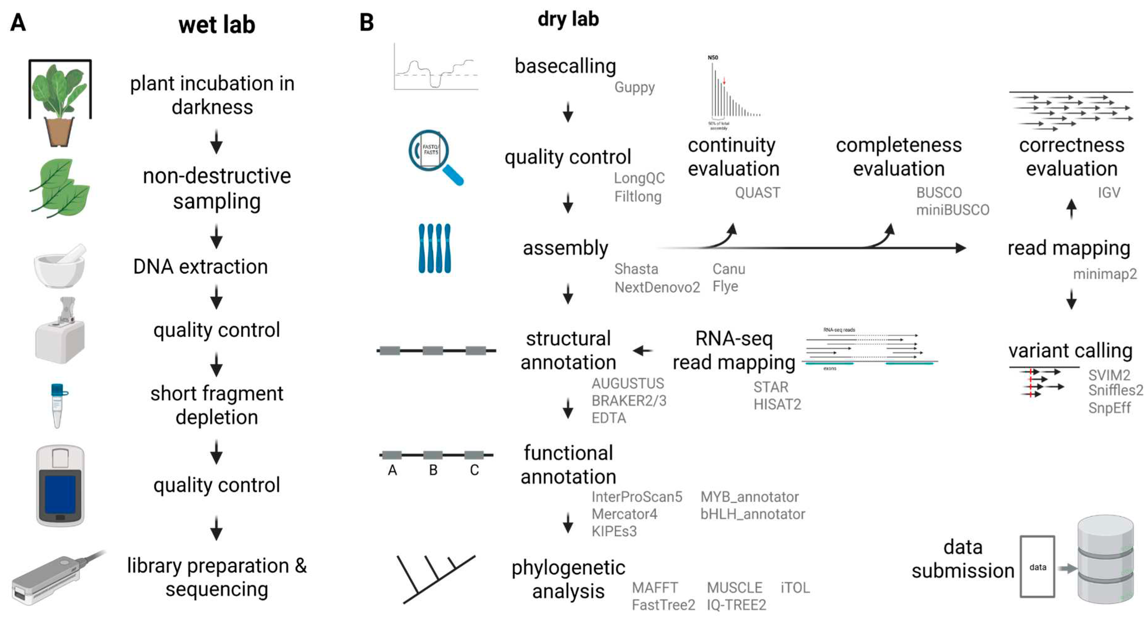 Preprints 83906 g002