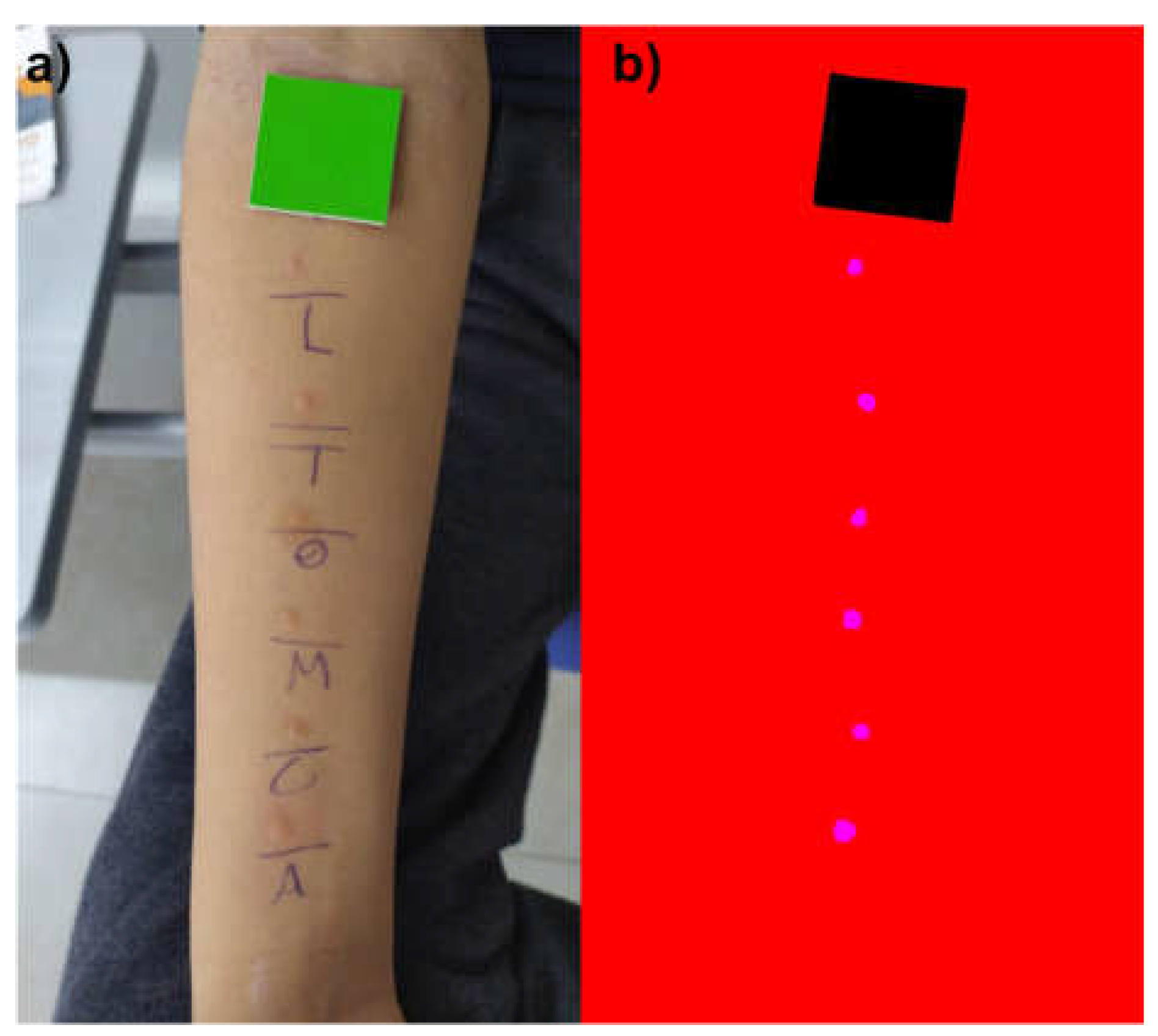 Preprints 116303 g002