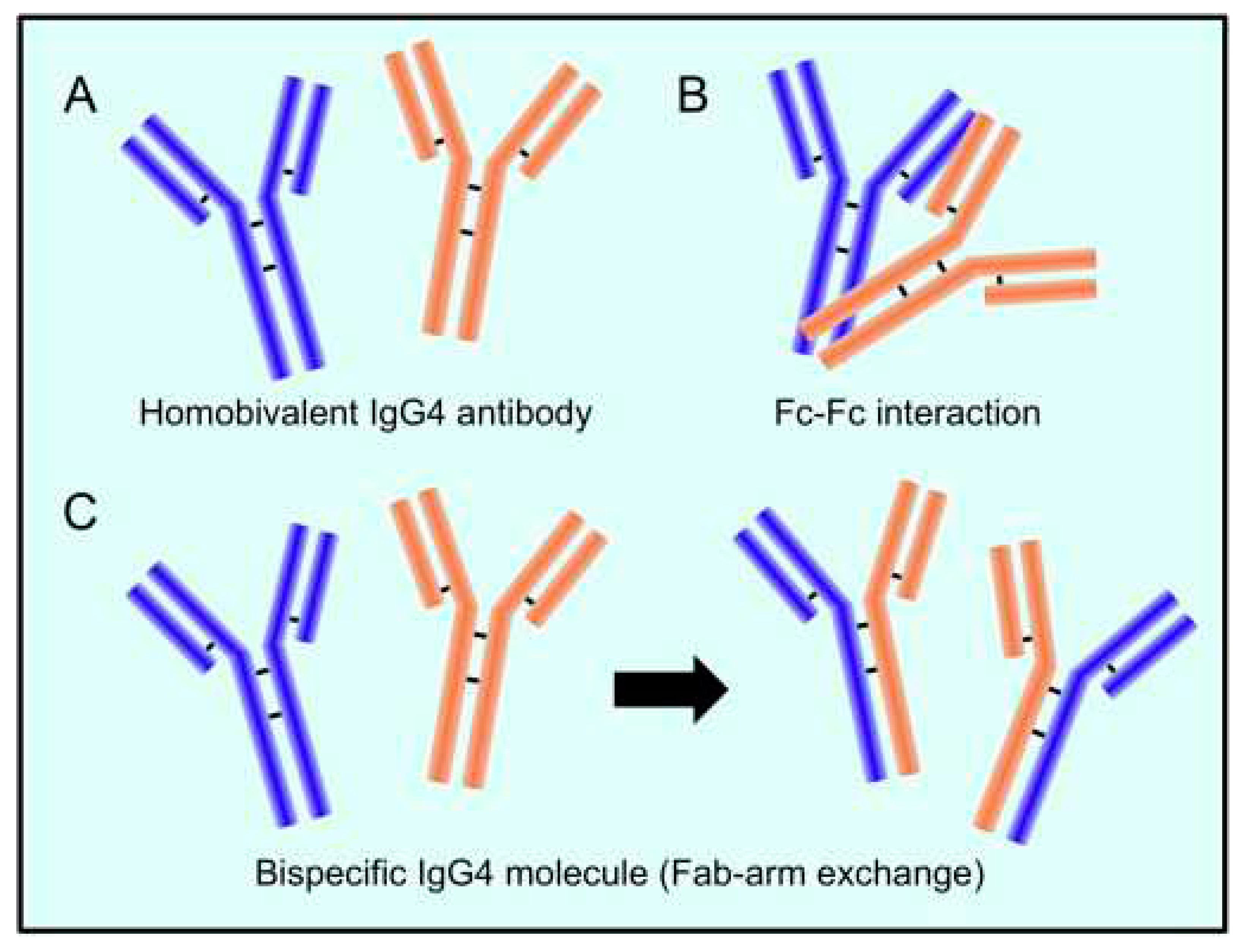 Preprints 70162 g001