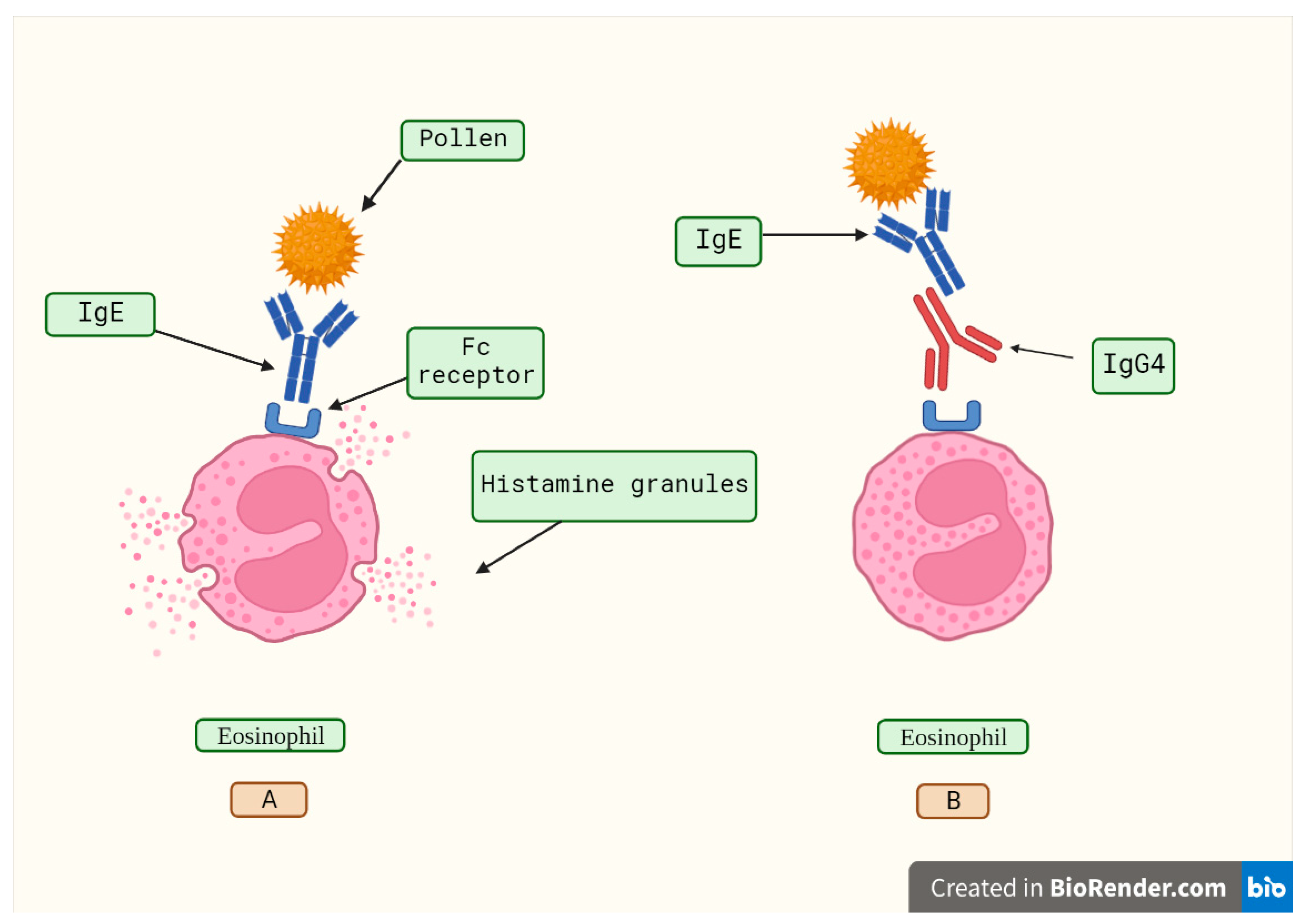 Preprints 70162 g002