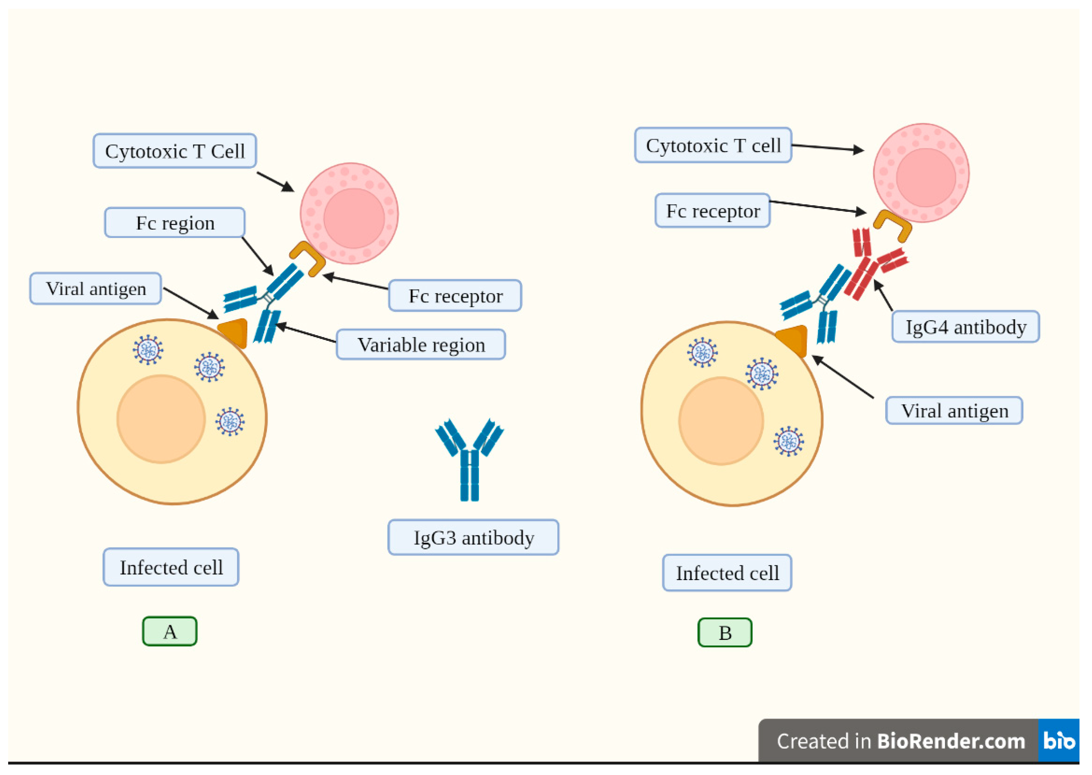 Preprints 70162 g004