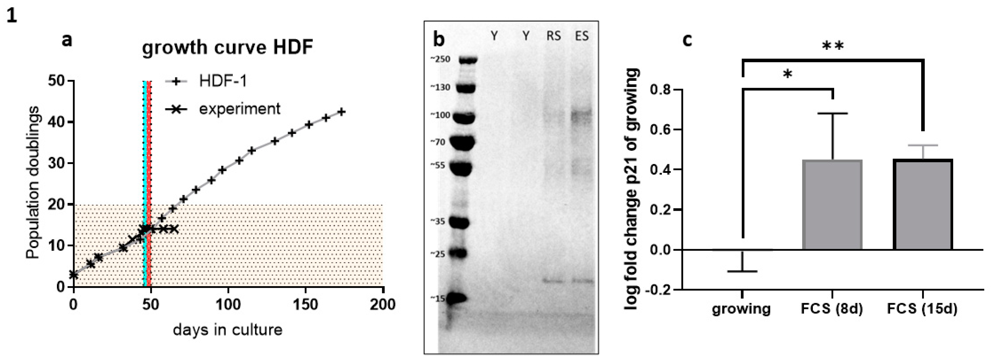 Preprints 92373 g001