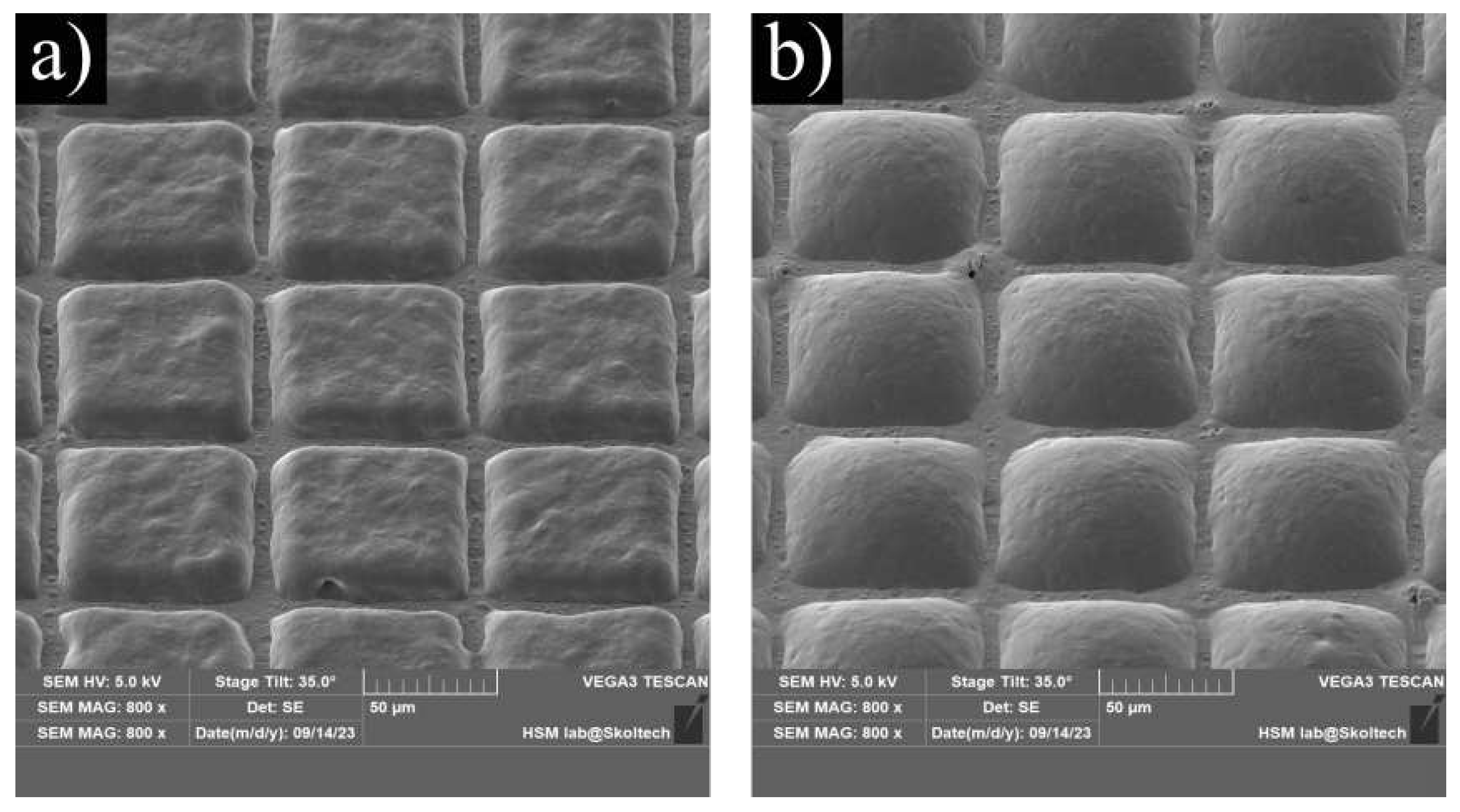 Preprints 87933 g004