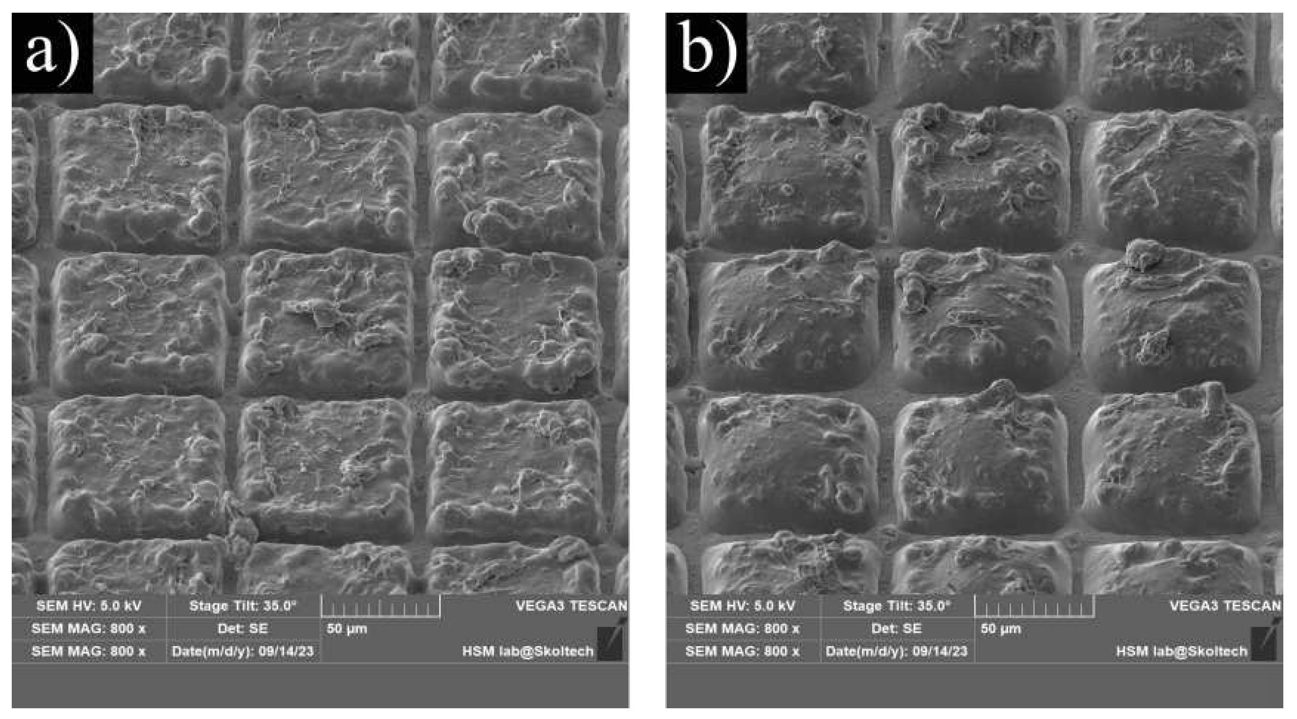 Preprints 87933 g005