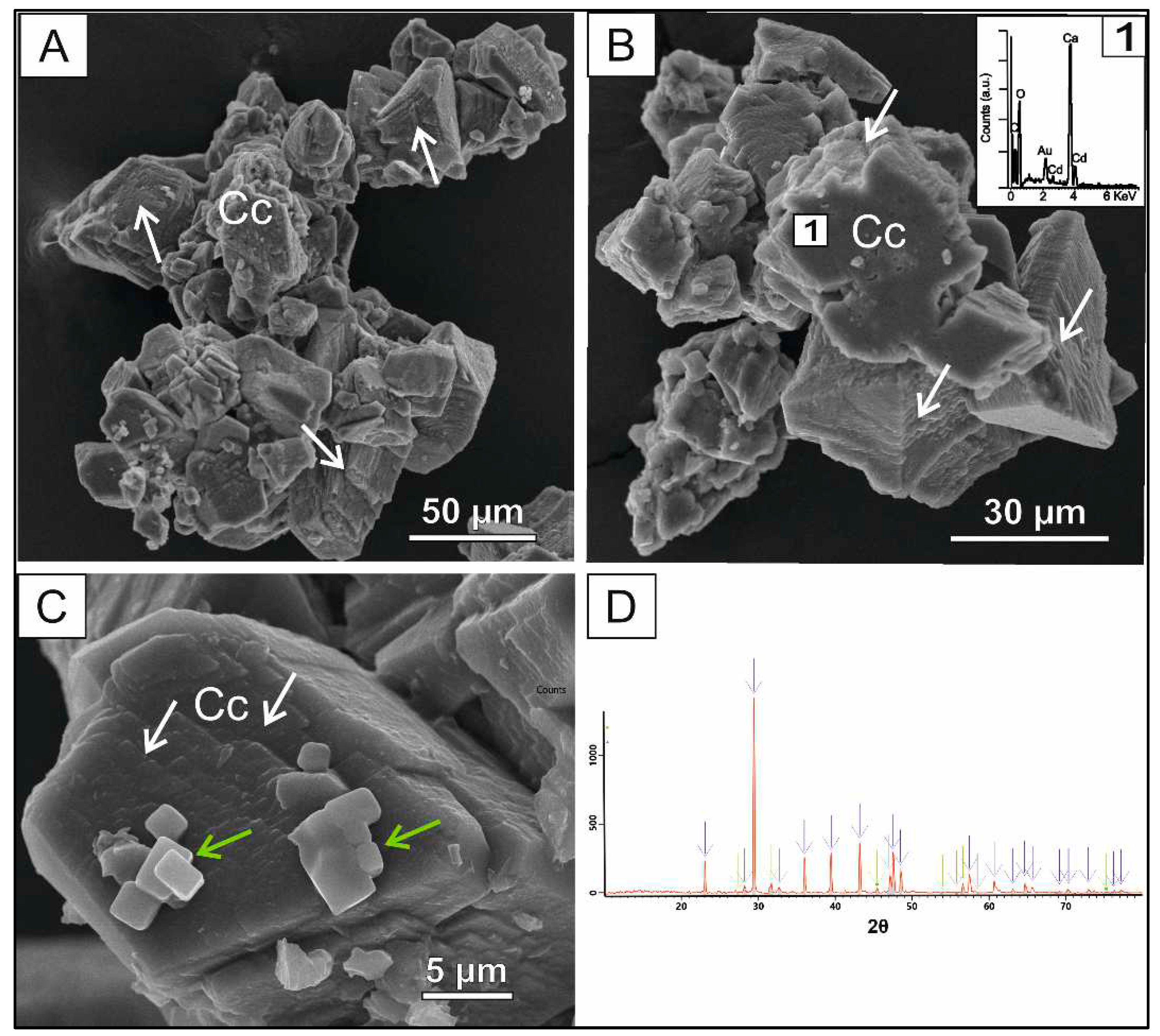 Preprints 70117 g002